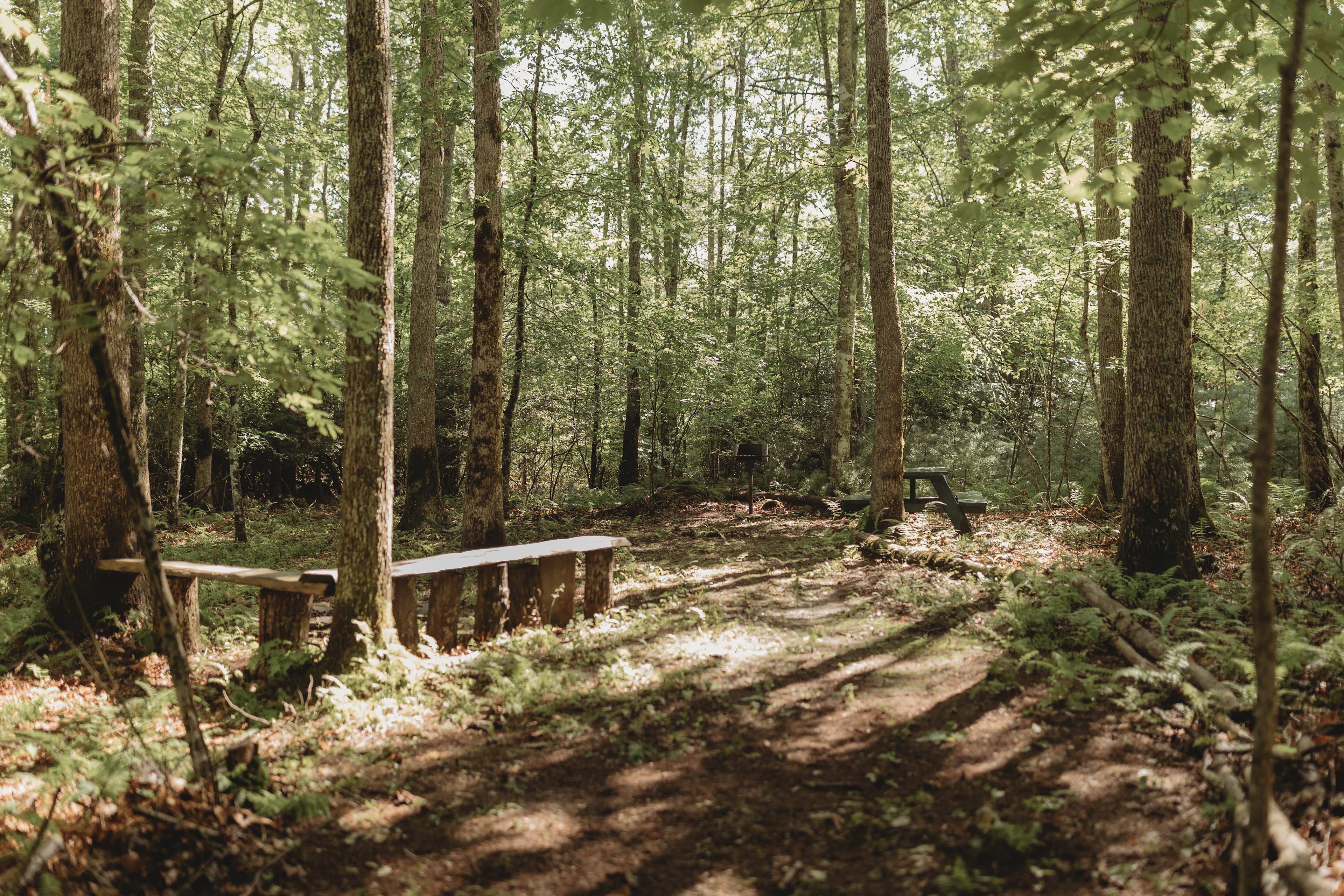 Site #2
