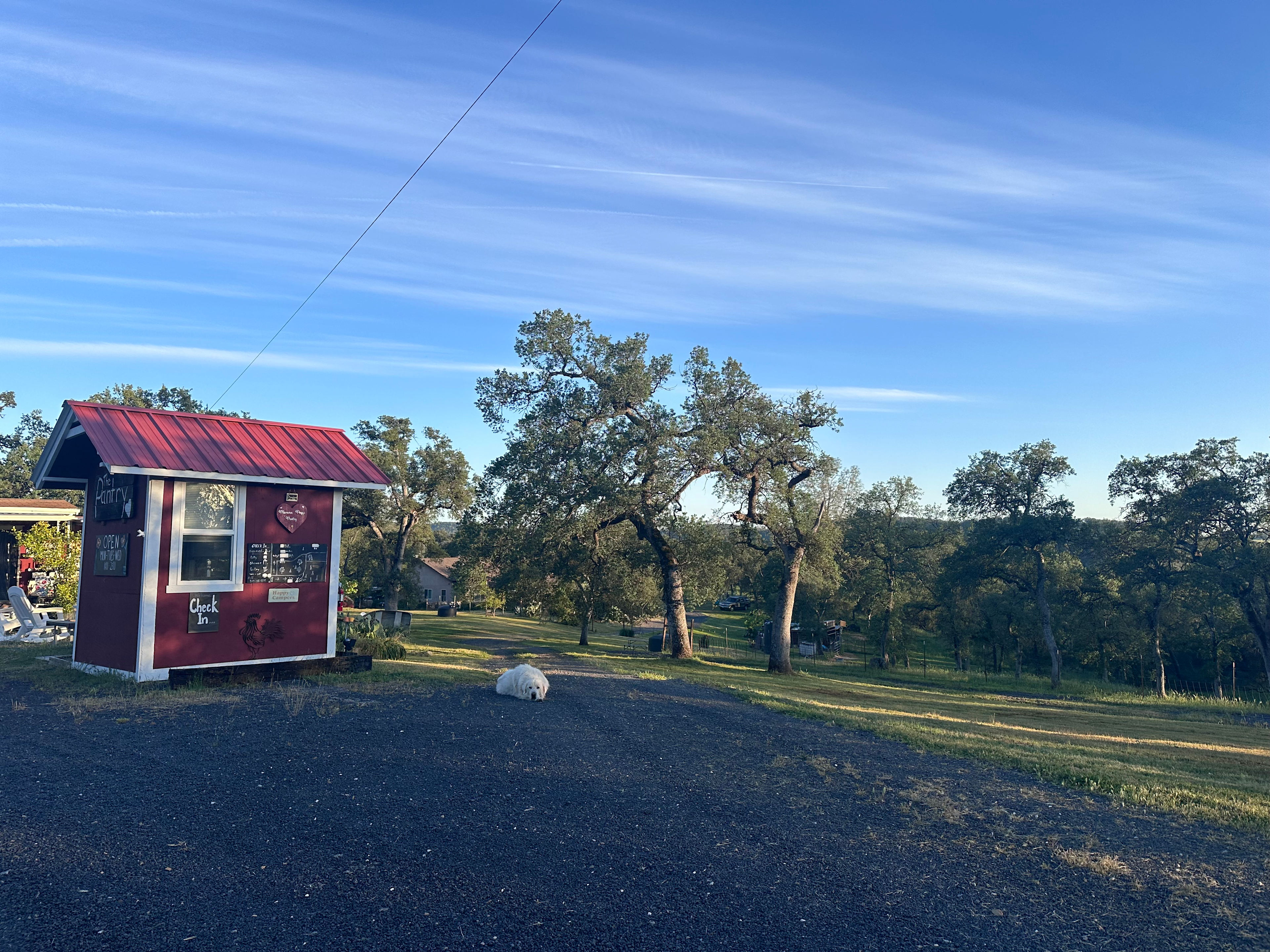 Mommapegg’s in the SEIRRA