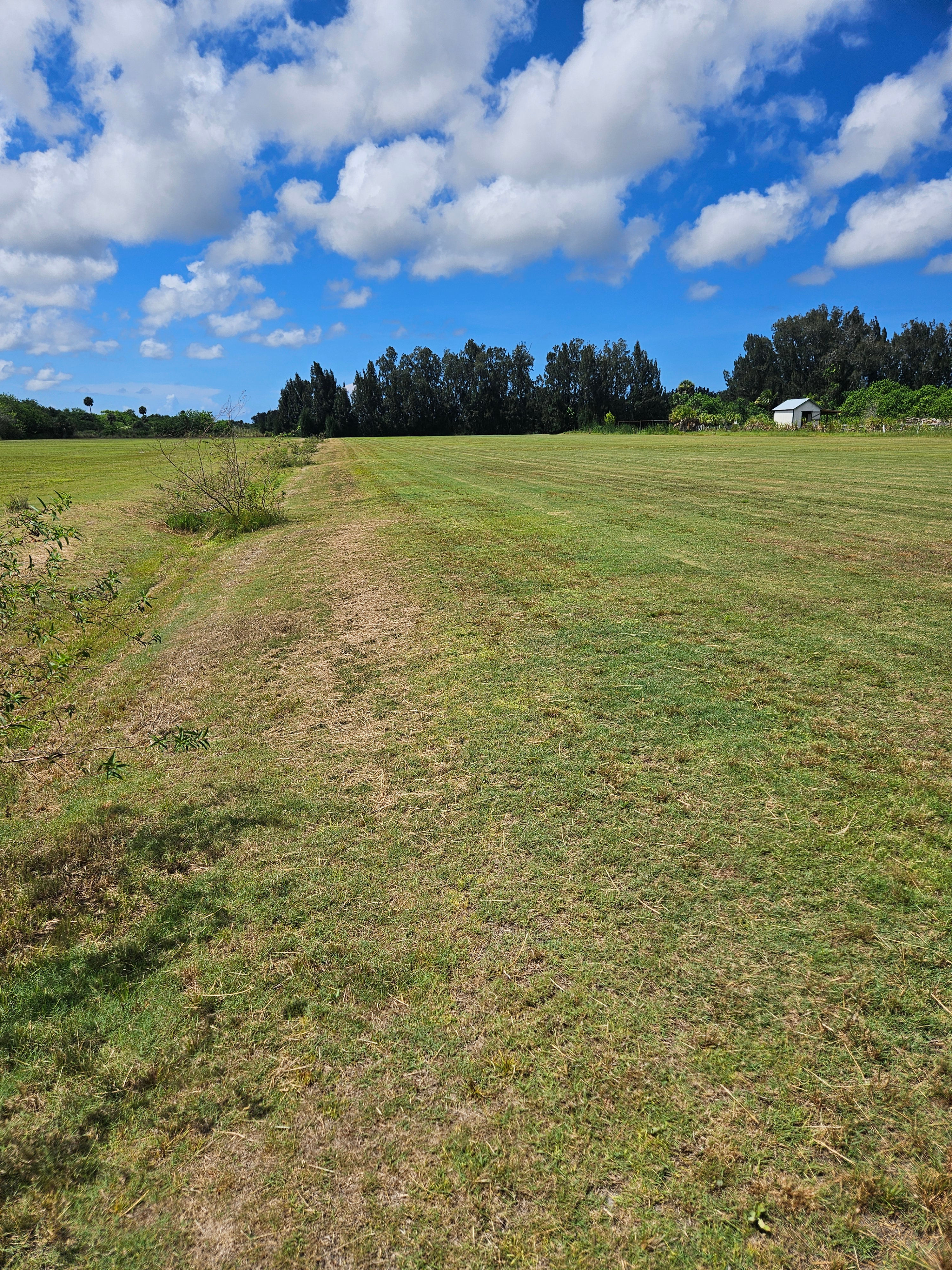 Green Acres