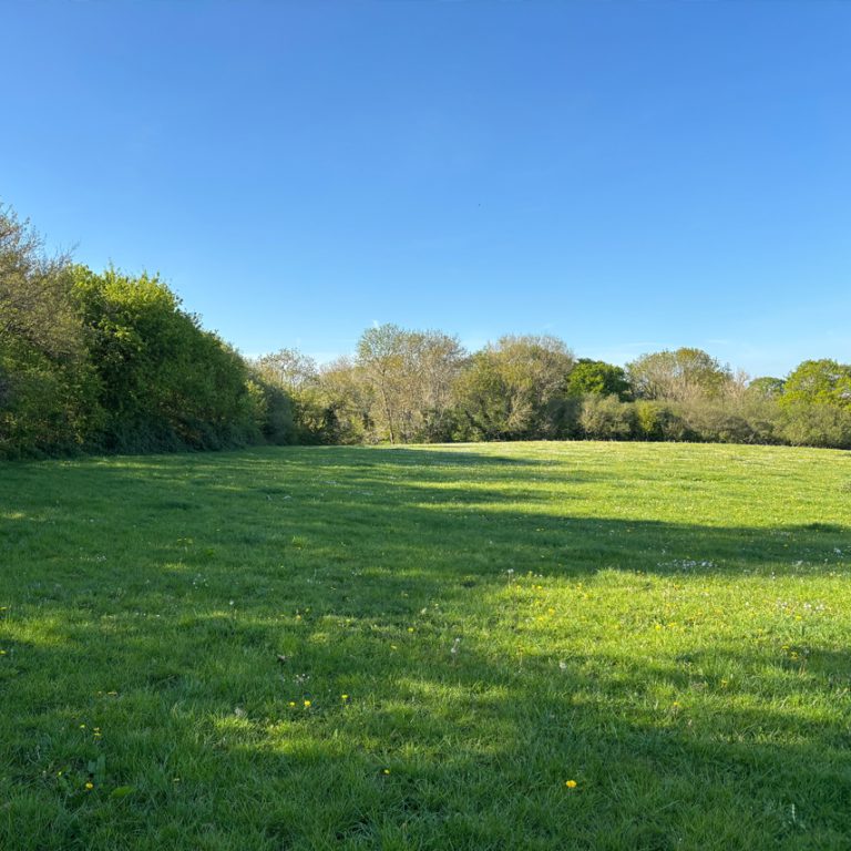 Liberty Farm Camping