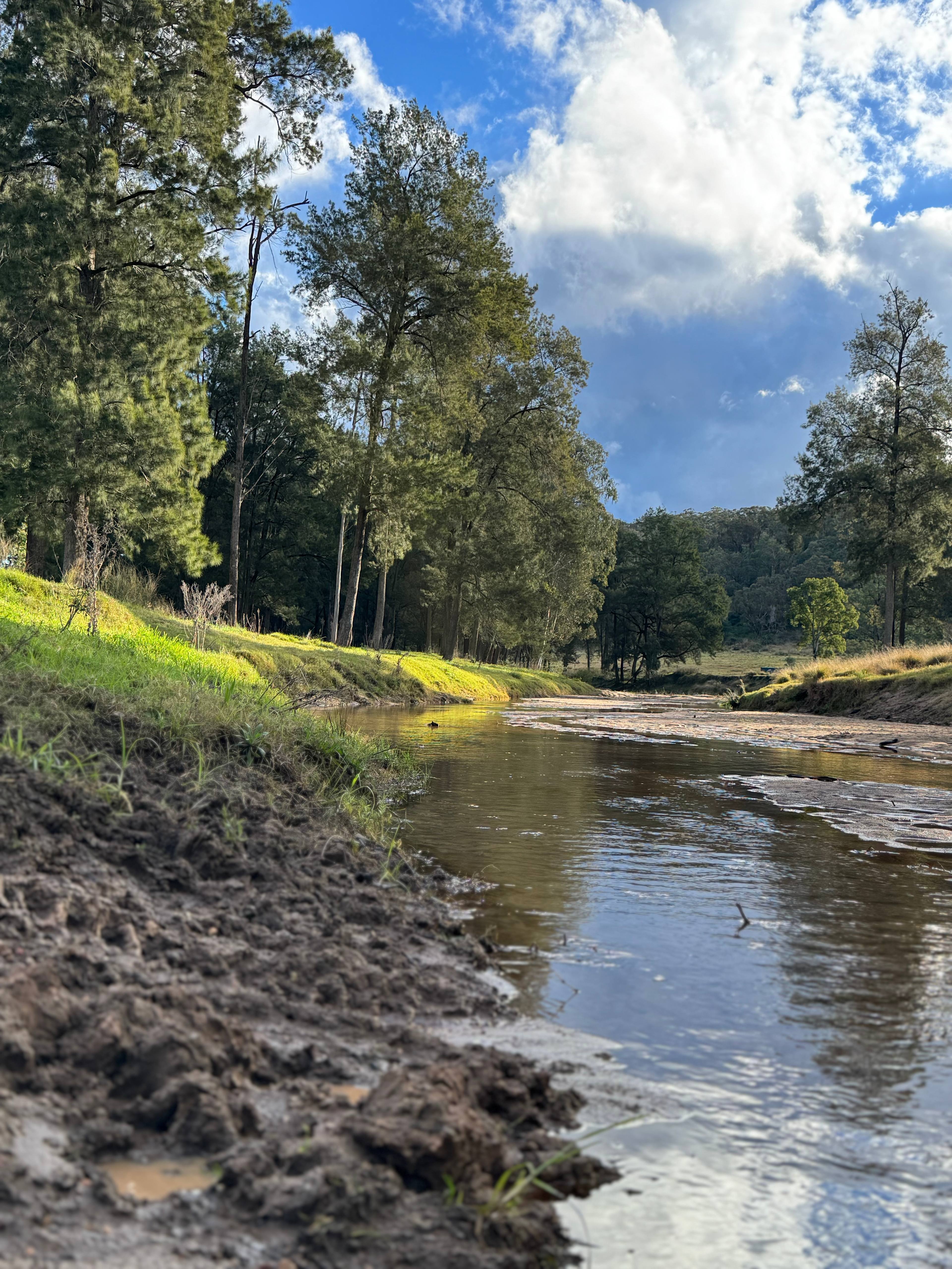 Hedley Hideaways - Thompson's camp