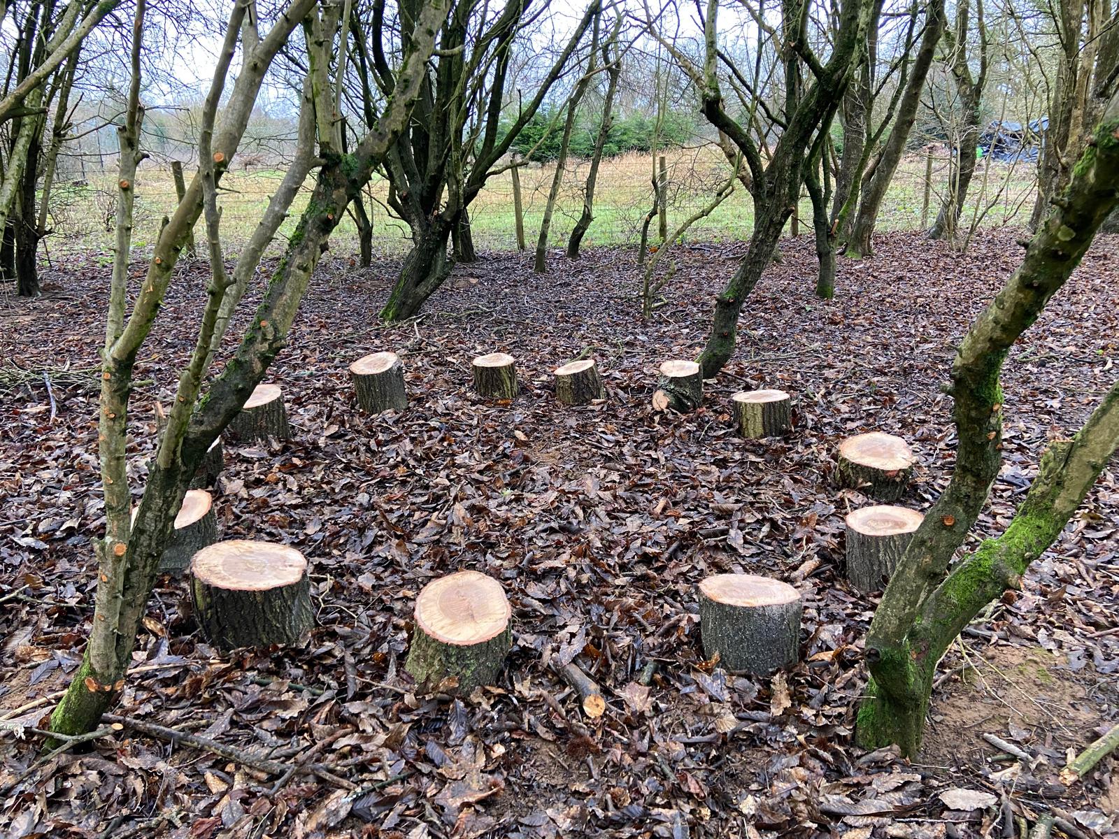 Shotover Country Park Wild Camping