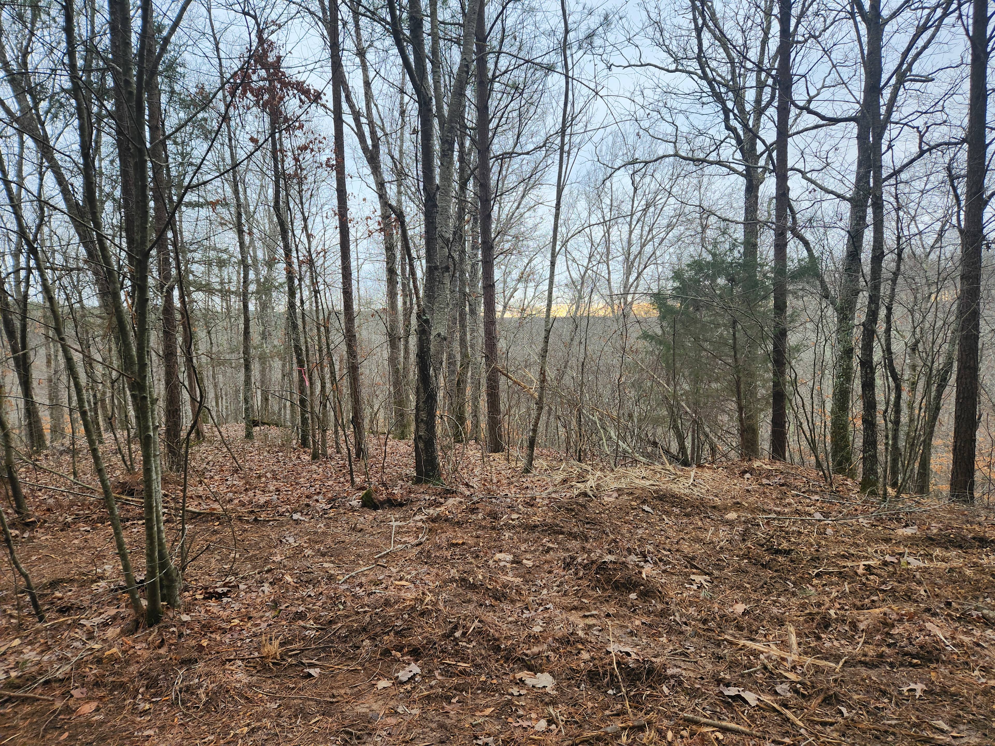 Whispering Holler Retreat