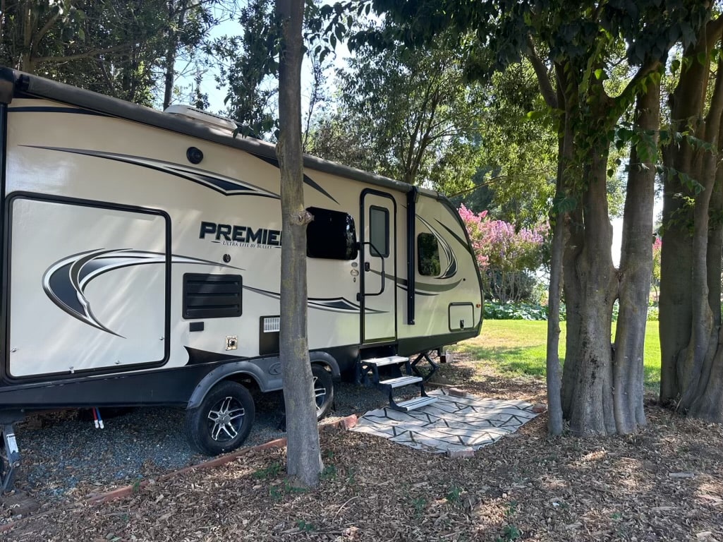 Sacramento Delta Vineyard View