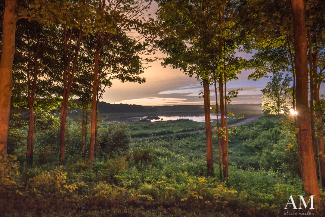 Secluded Overlook Solo Campsite