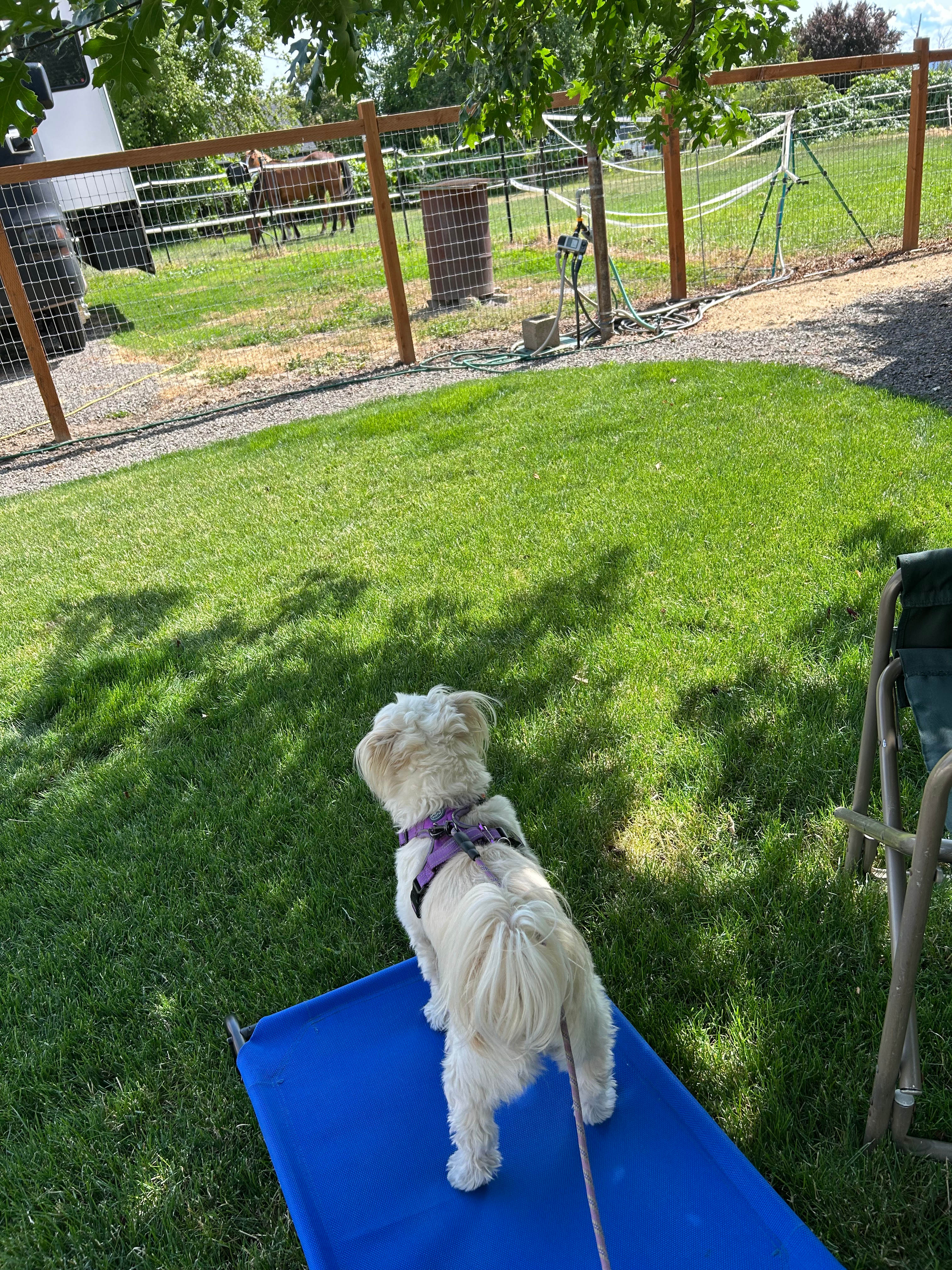 The back view of our campsite