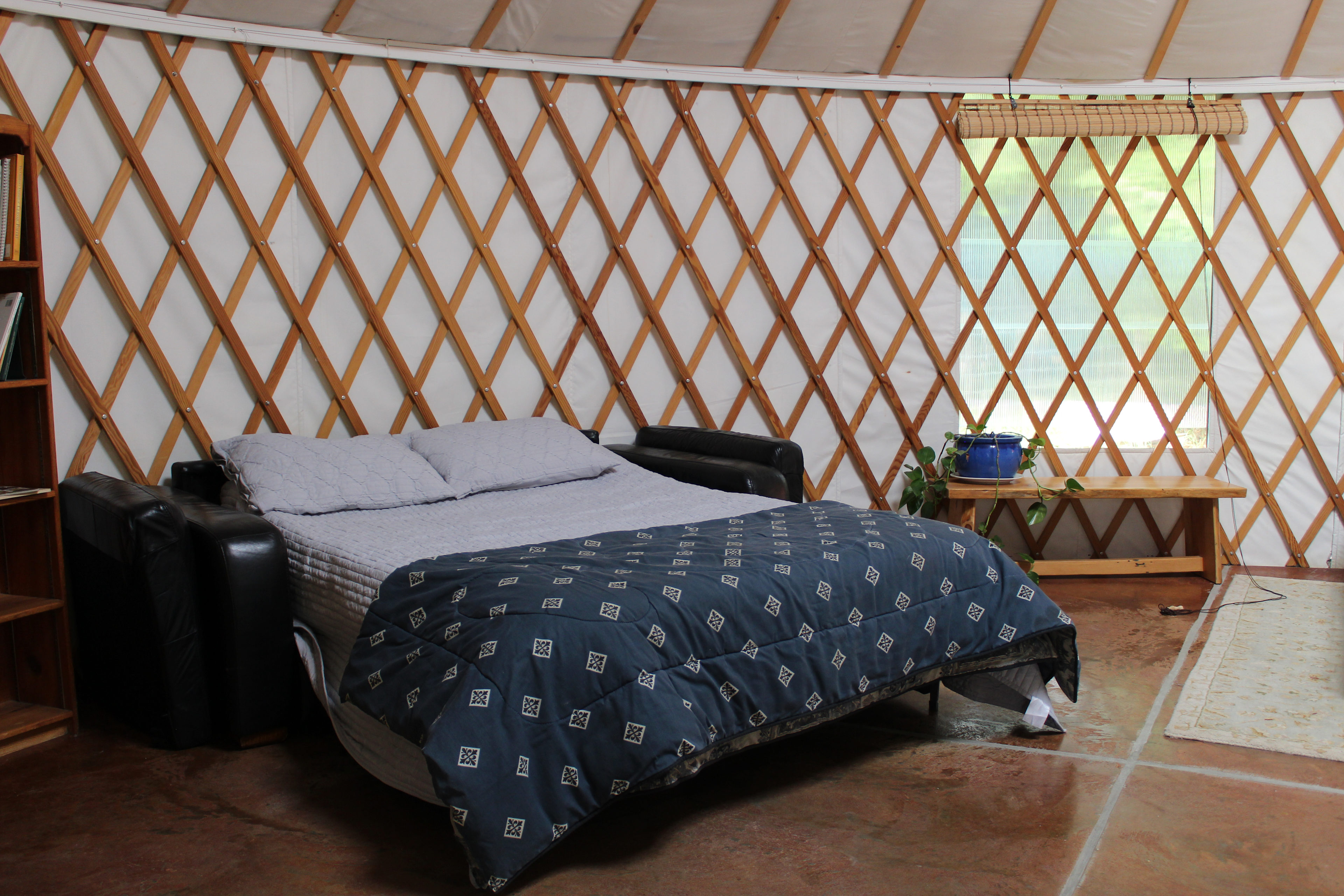 Frog Song Raven Yurt