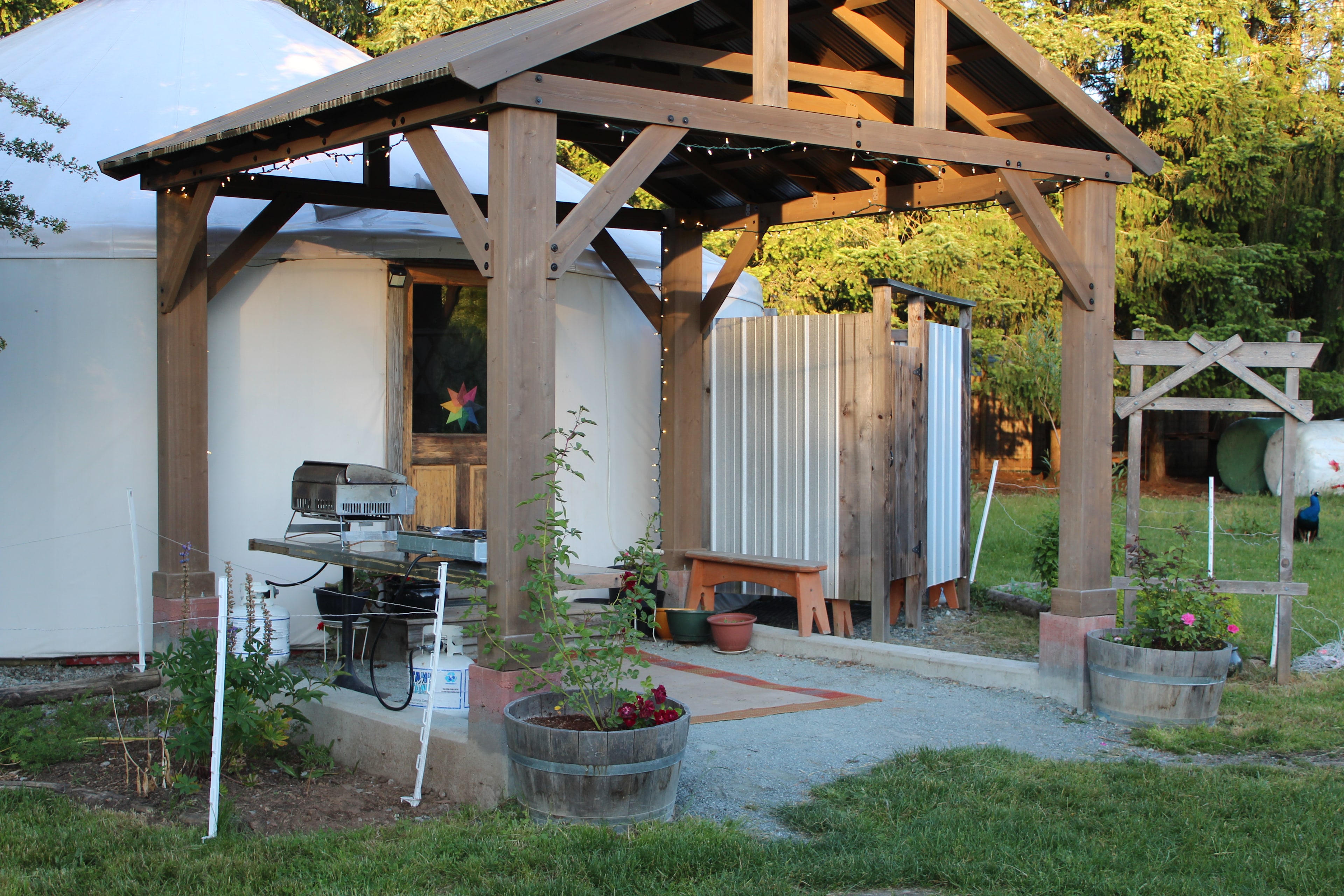 Frog Song Raven Yurt