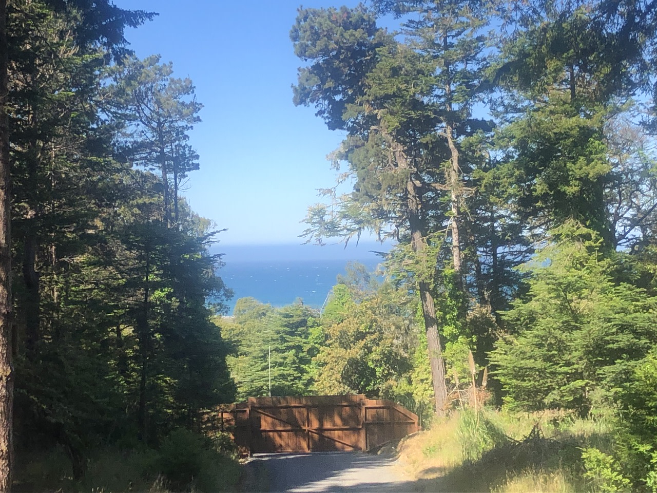 Essene Acres of Gualala Ocean View