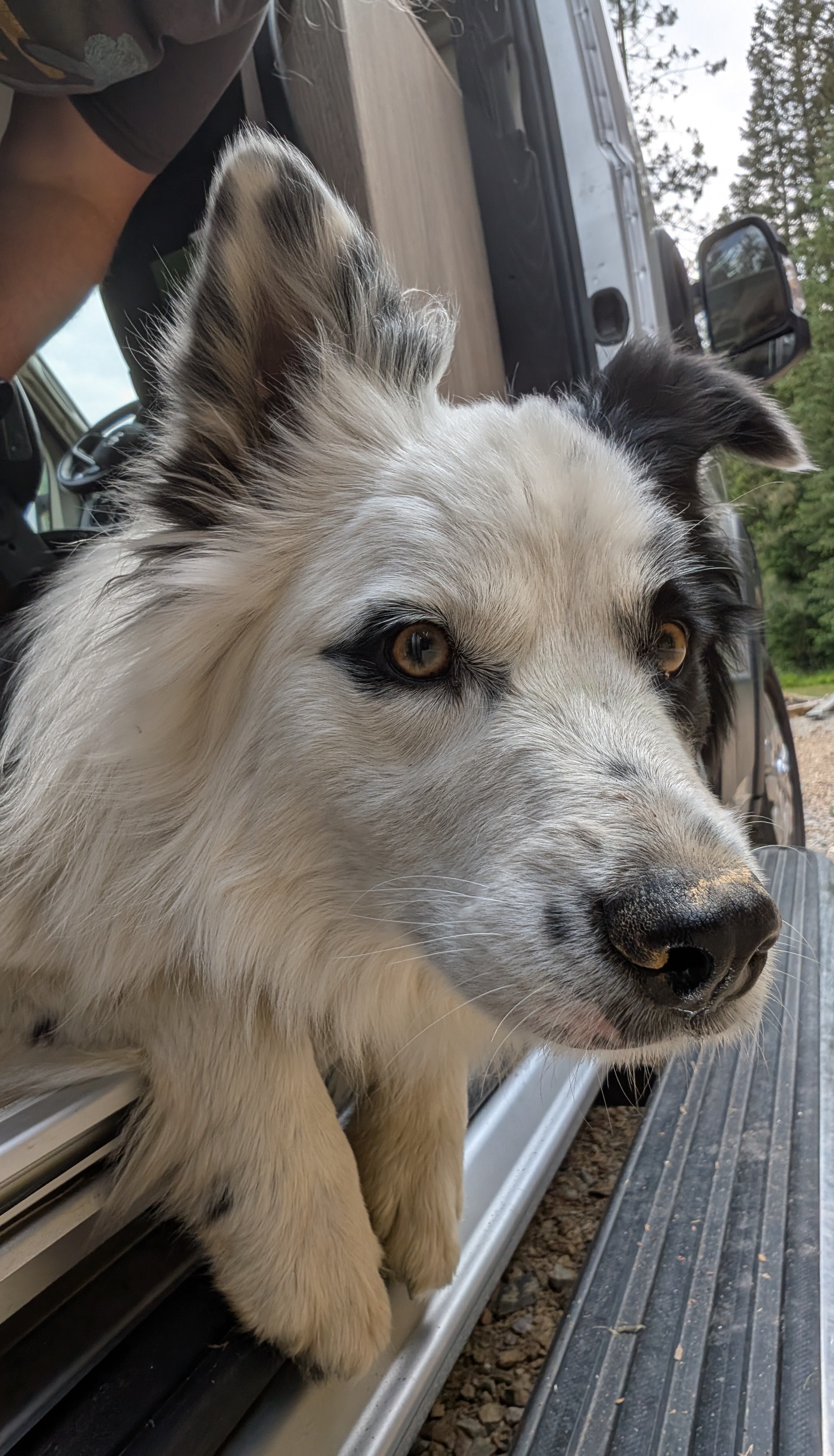 My little bestie during my stay. 