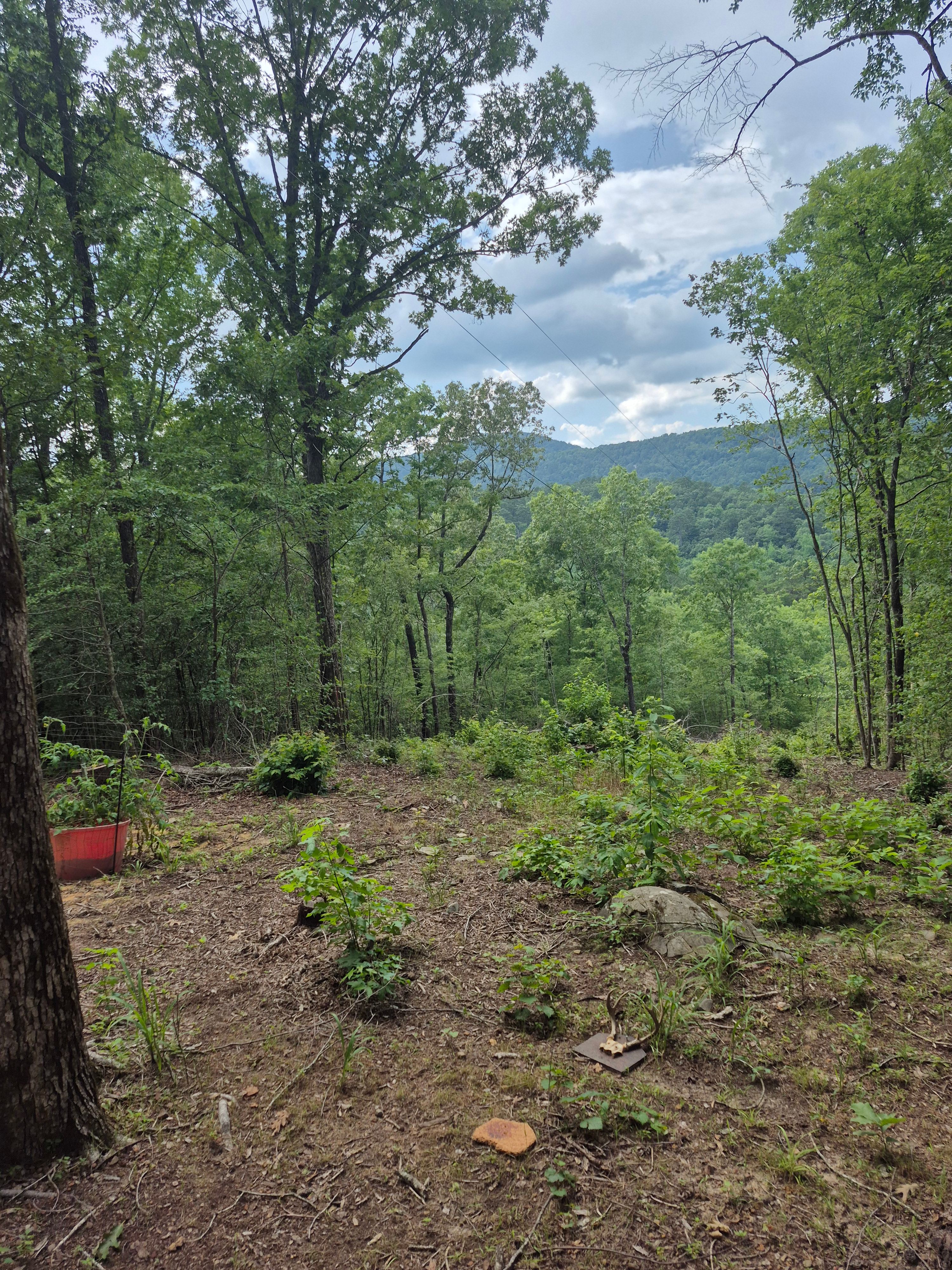 Boudreaux Run RV Park