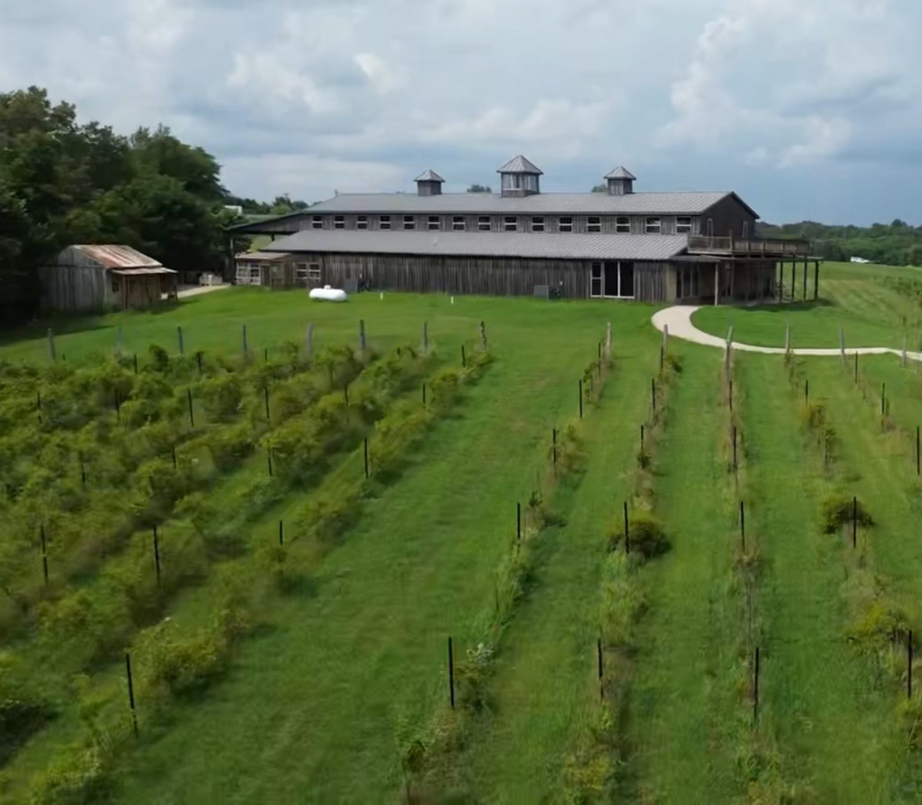 Grand Chain Vineyards