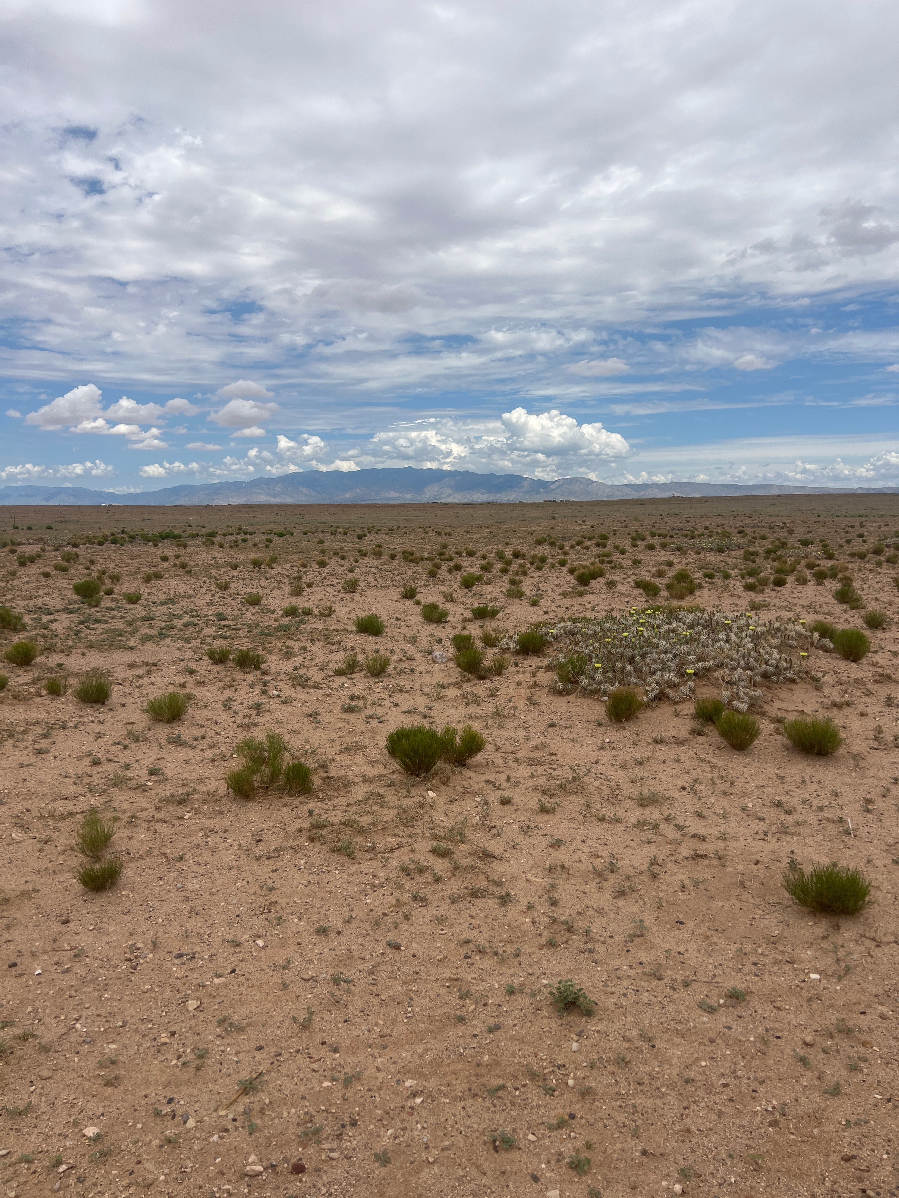 Great view of mountains all the way around. Great night skies to watch the stars. Lots of wildlife and some livestock. 