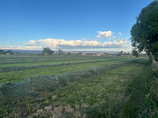 Hatch Farms RV and Camp Sites