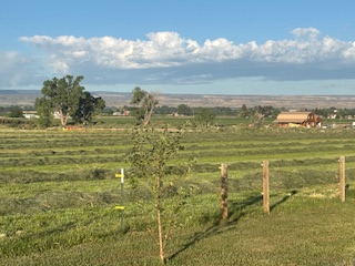 Hatch Farms RV and Camp Sites