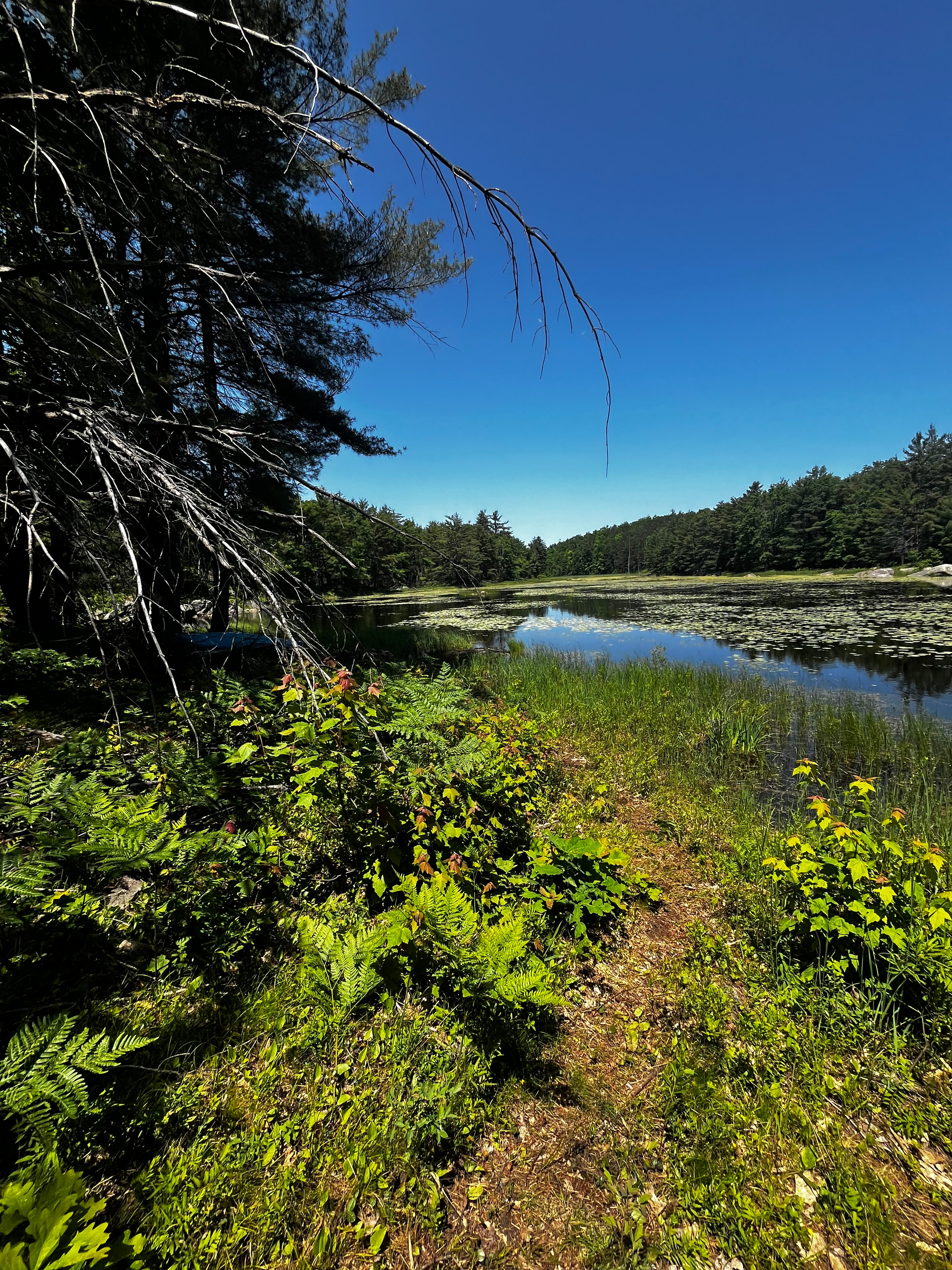 Healun Acres