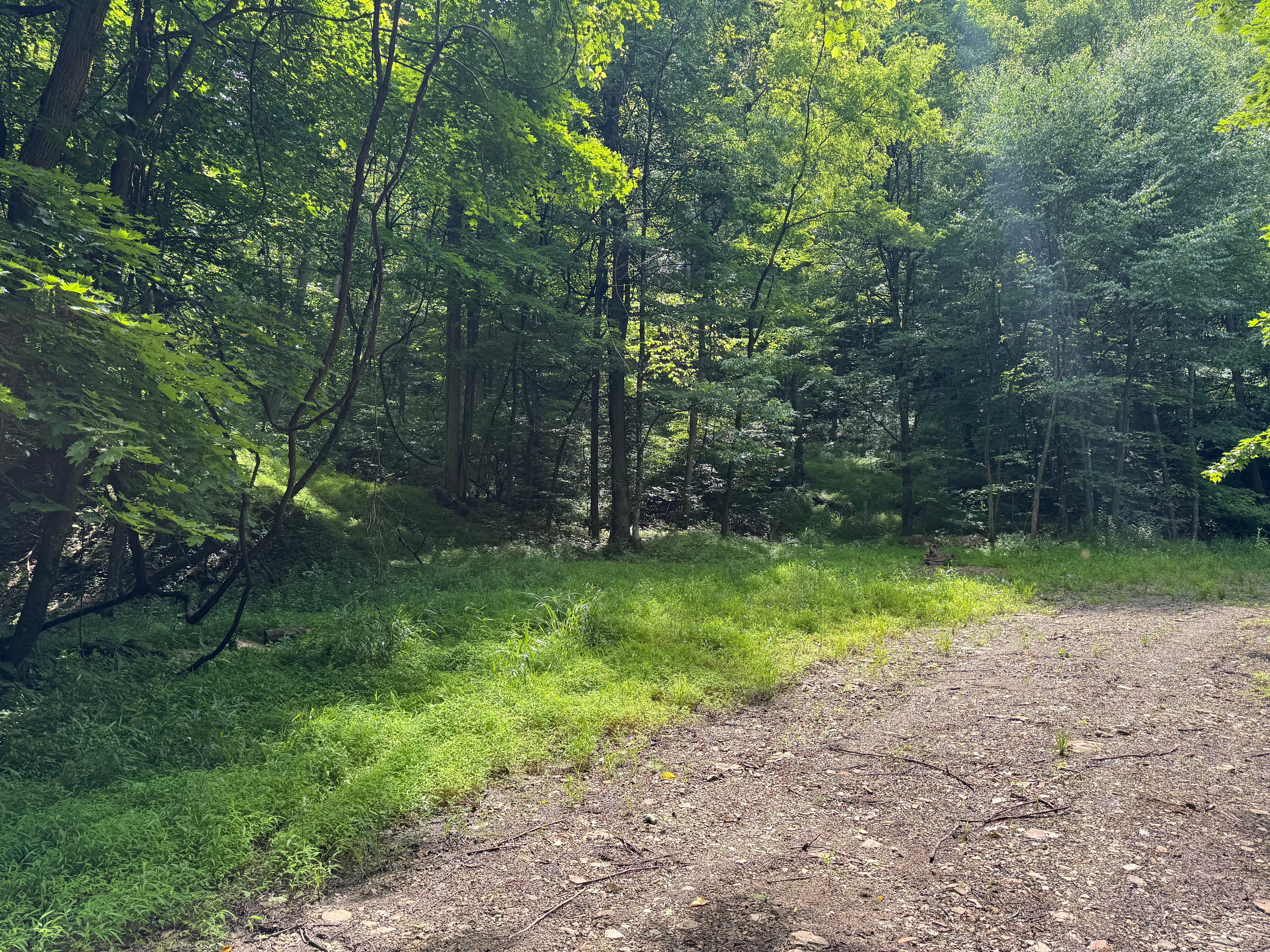 Mountainside or Creekside (2 sites)