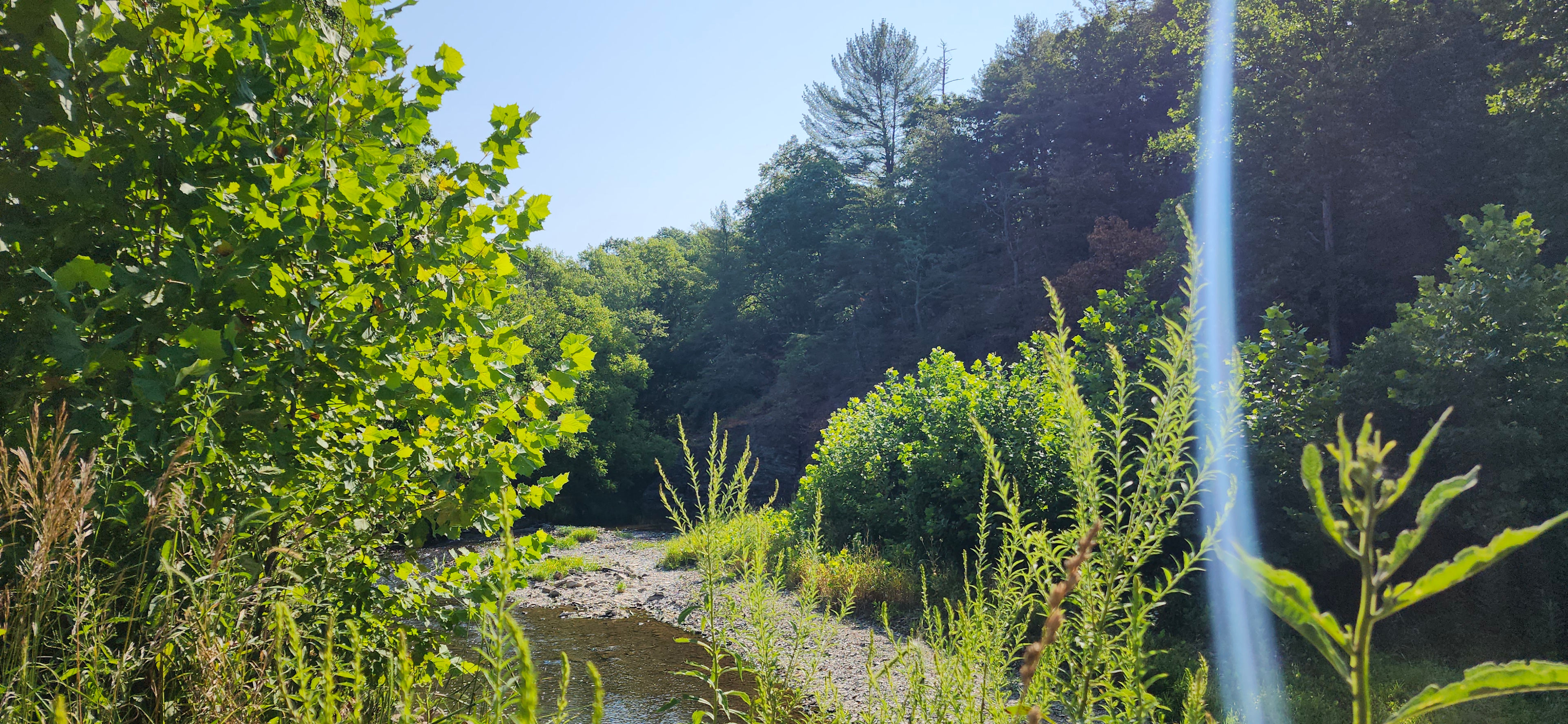 Upcreek shot -- swimming hole in the background.