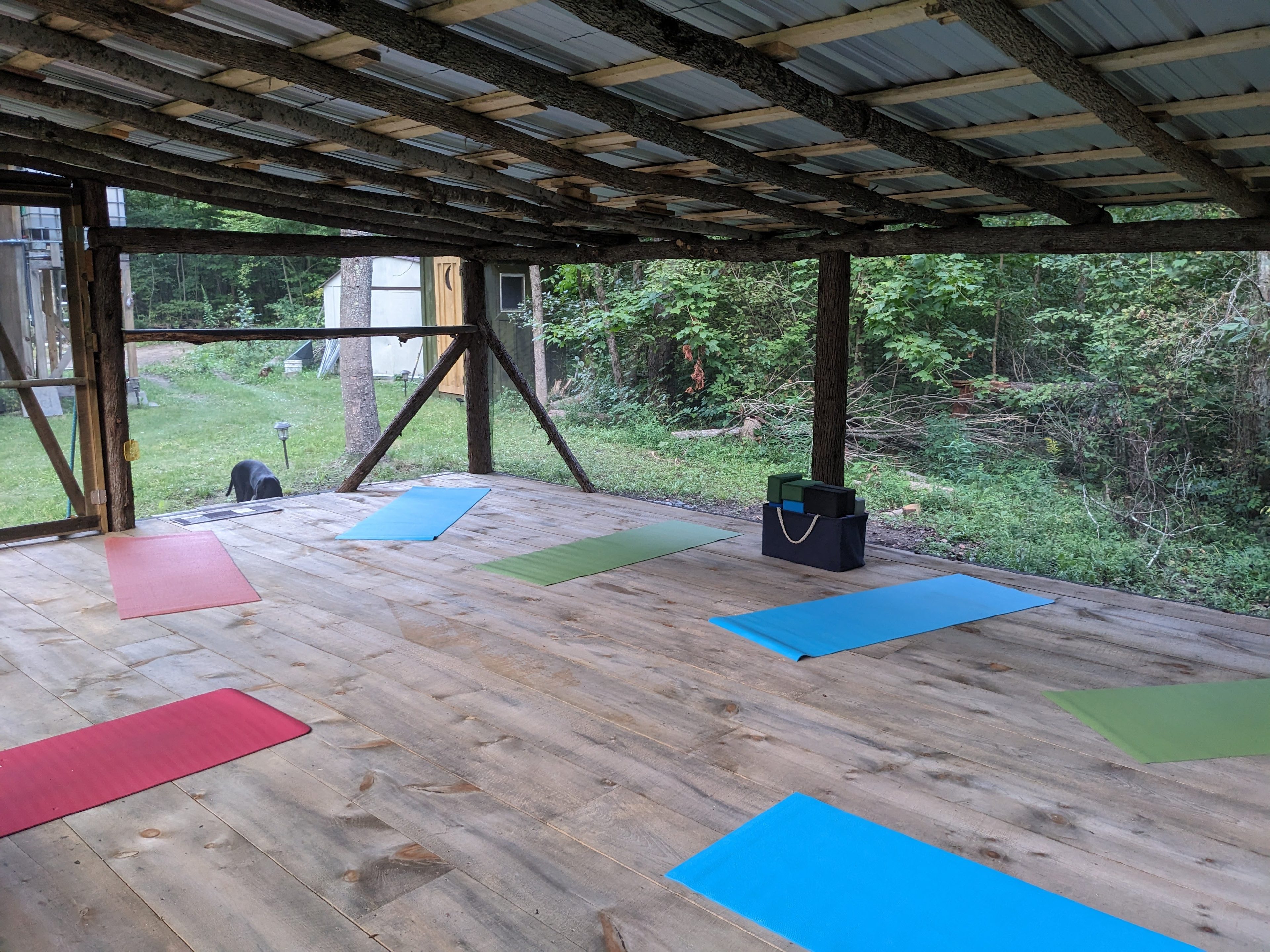 Forest Bunkie & Yogazebo