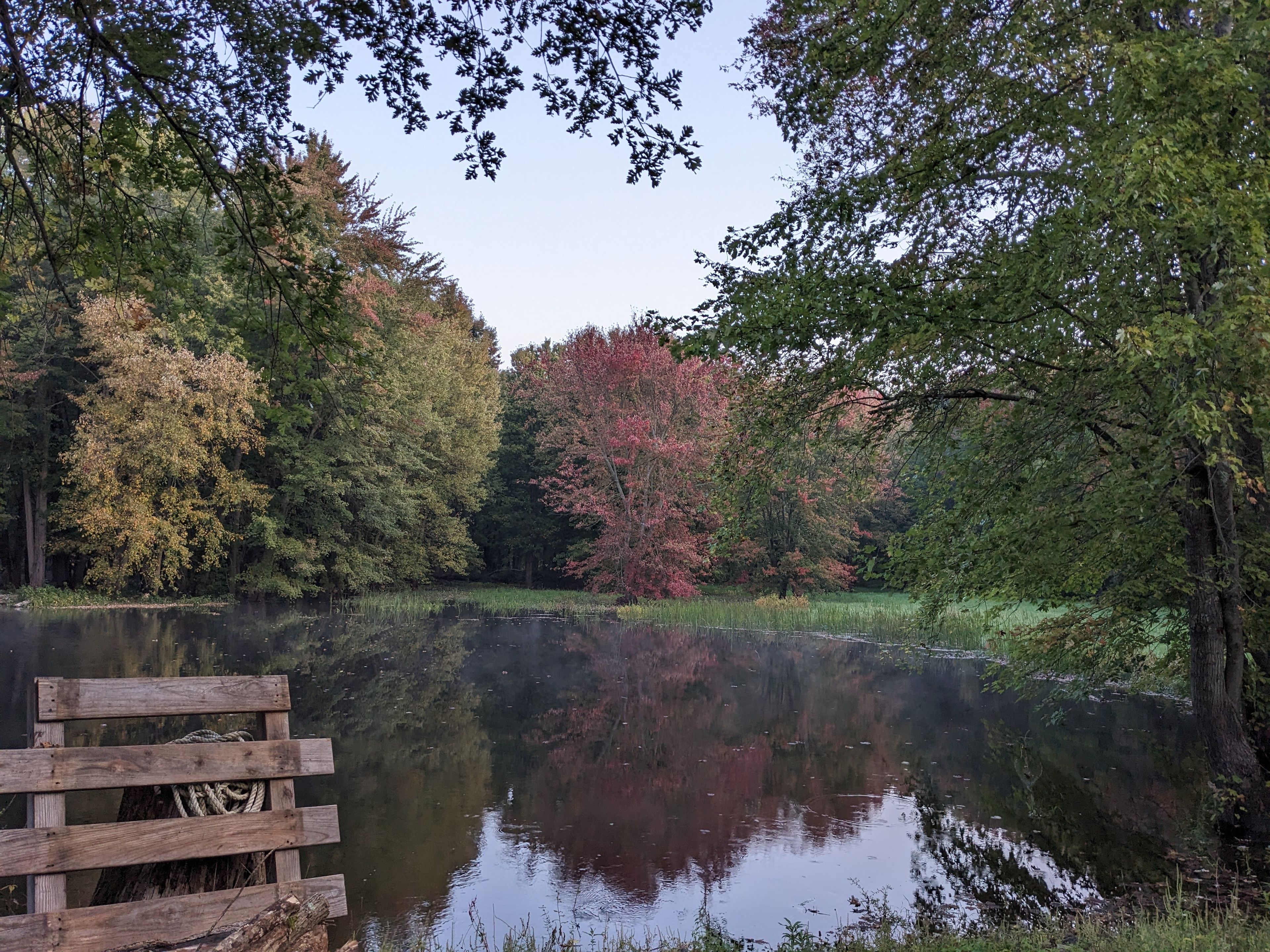Forest Bunkie & Yogazebo