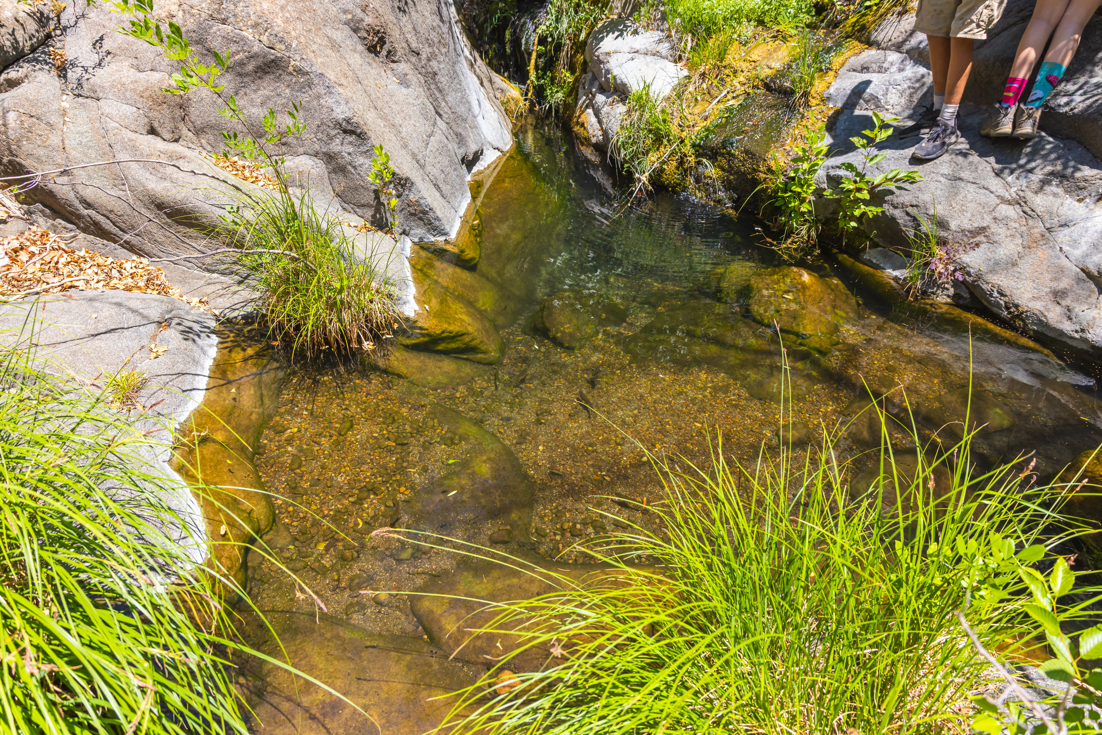 Ash Creek: Canyon Views & History