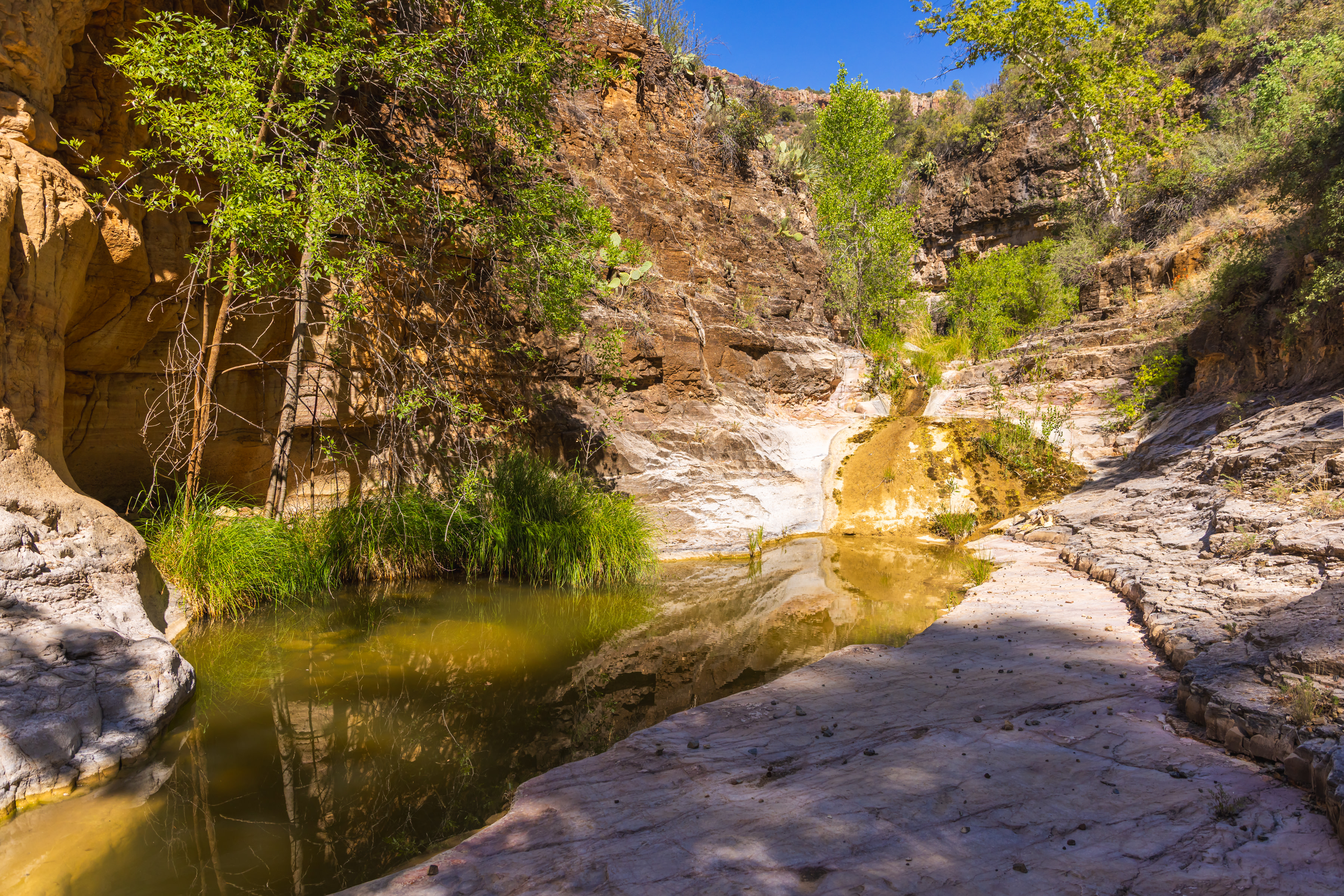Swimming hole down the creek, with small waterfall from the flowing spring. Becomes a large waterfall after it rains.