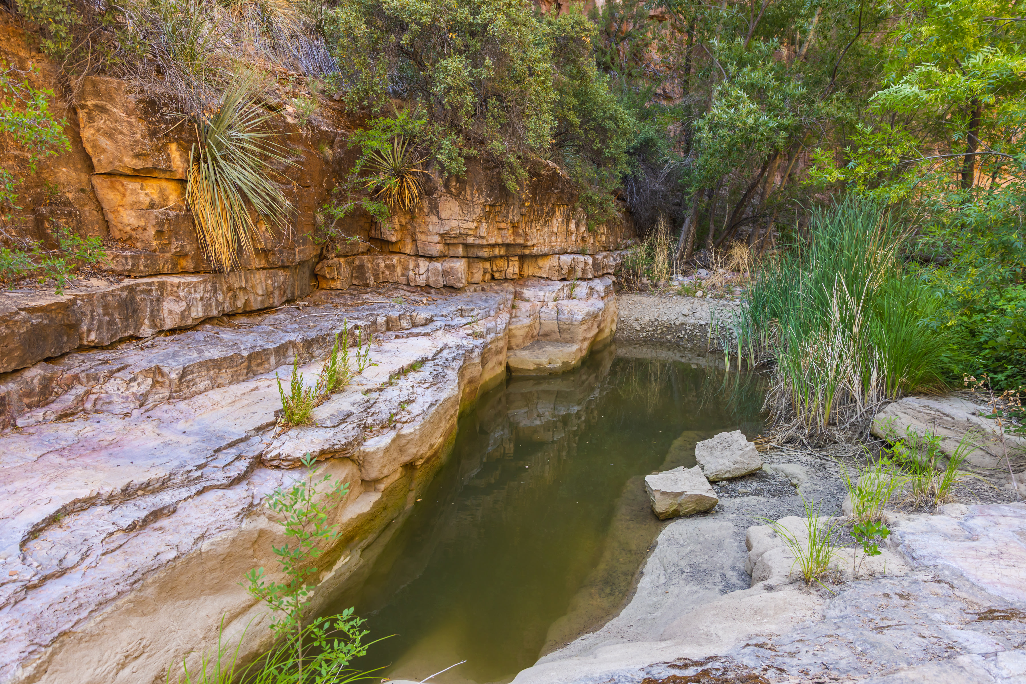 A deeper swimming hole, short hike down Ash Creek