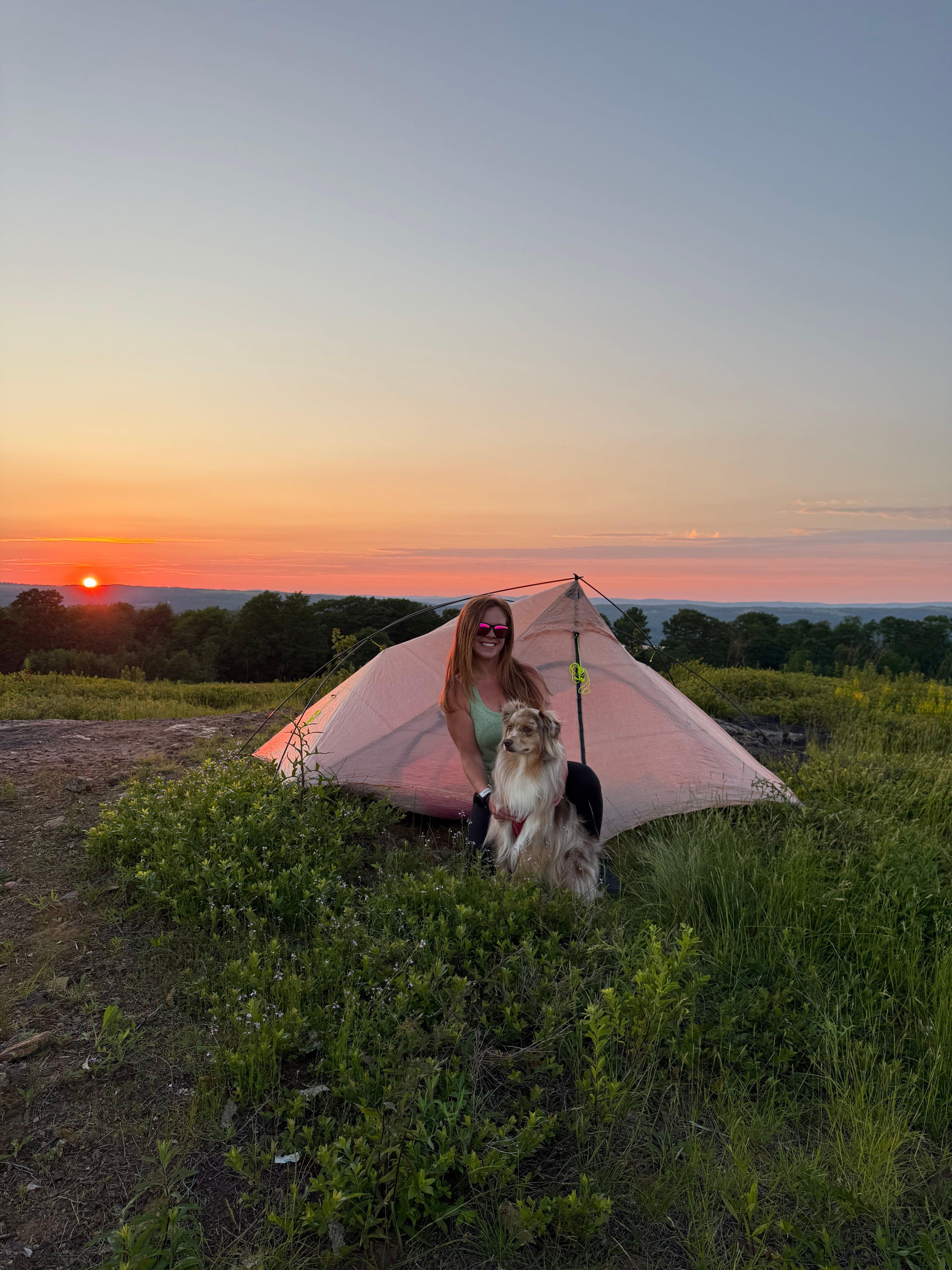 Magnificent View Blueberry Hilltop