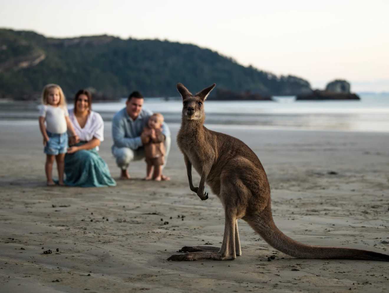 Cape Hillsborough Nature Tourist Park