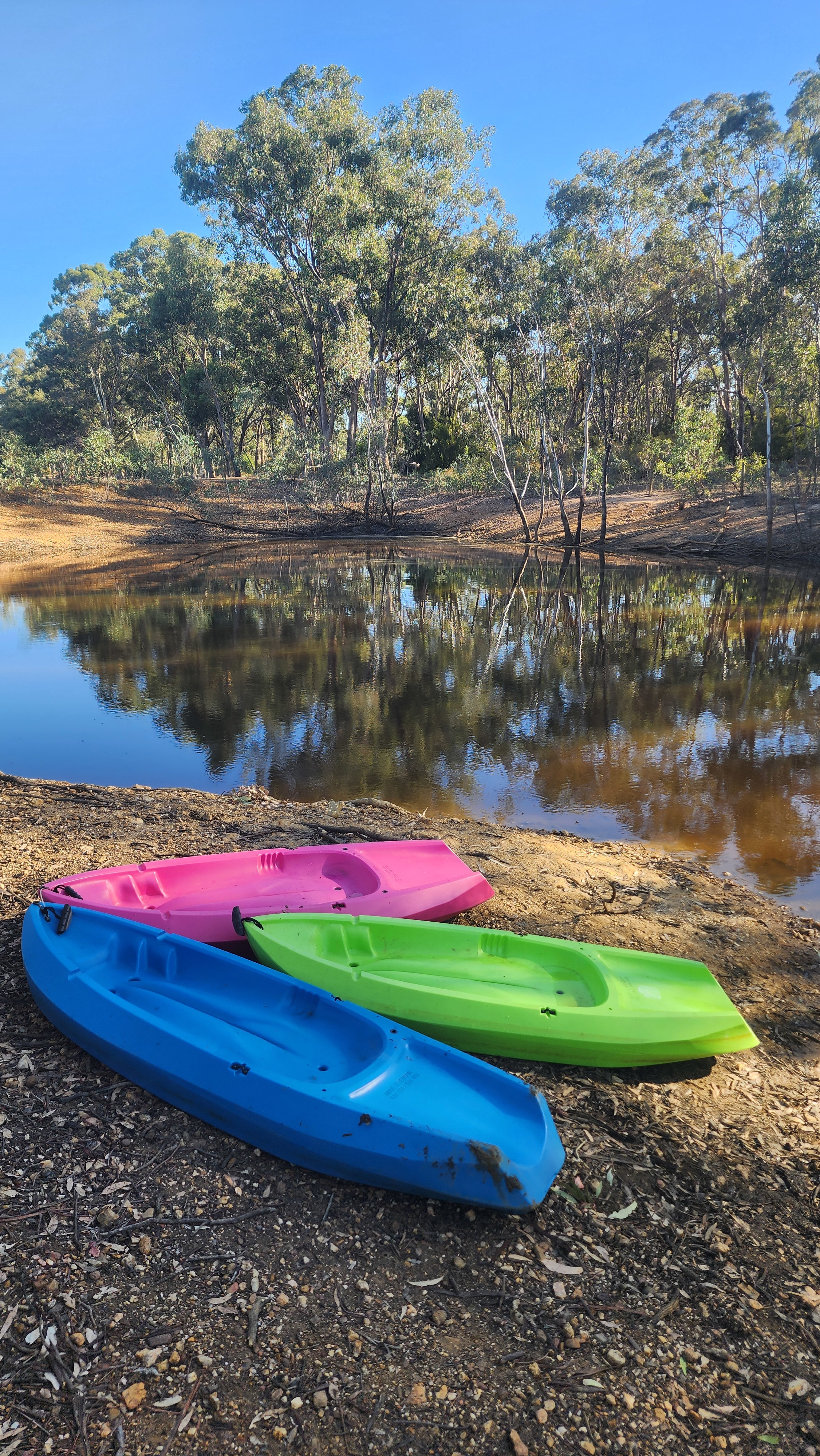 Peaceful Paddock - Castlemaine
