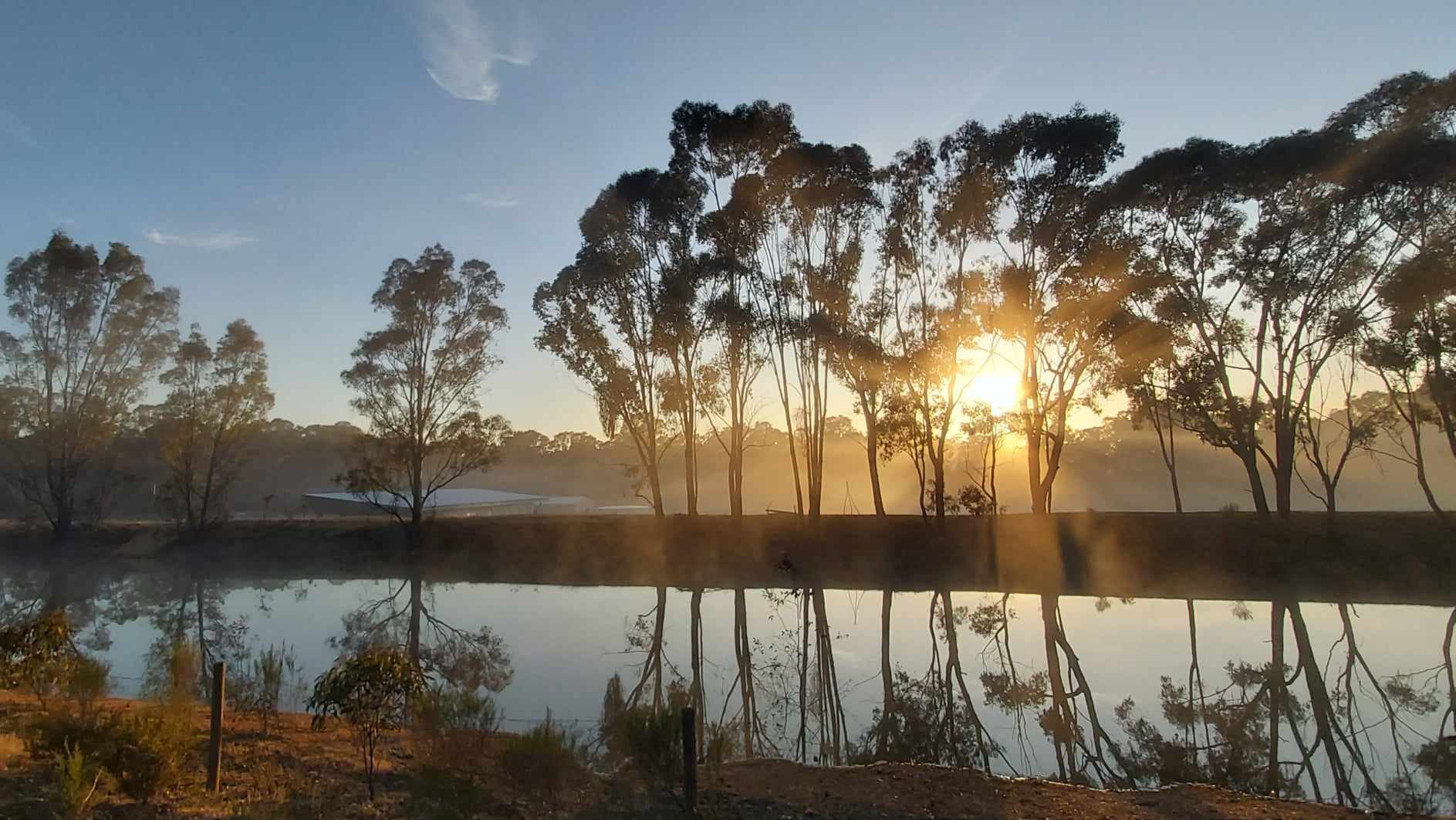 Peaceful Paddock - Castlemaine