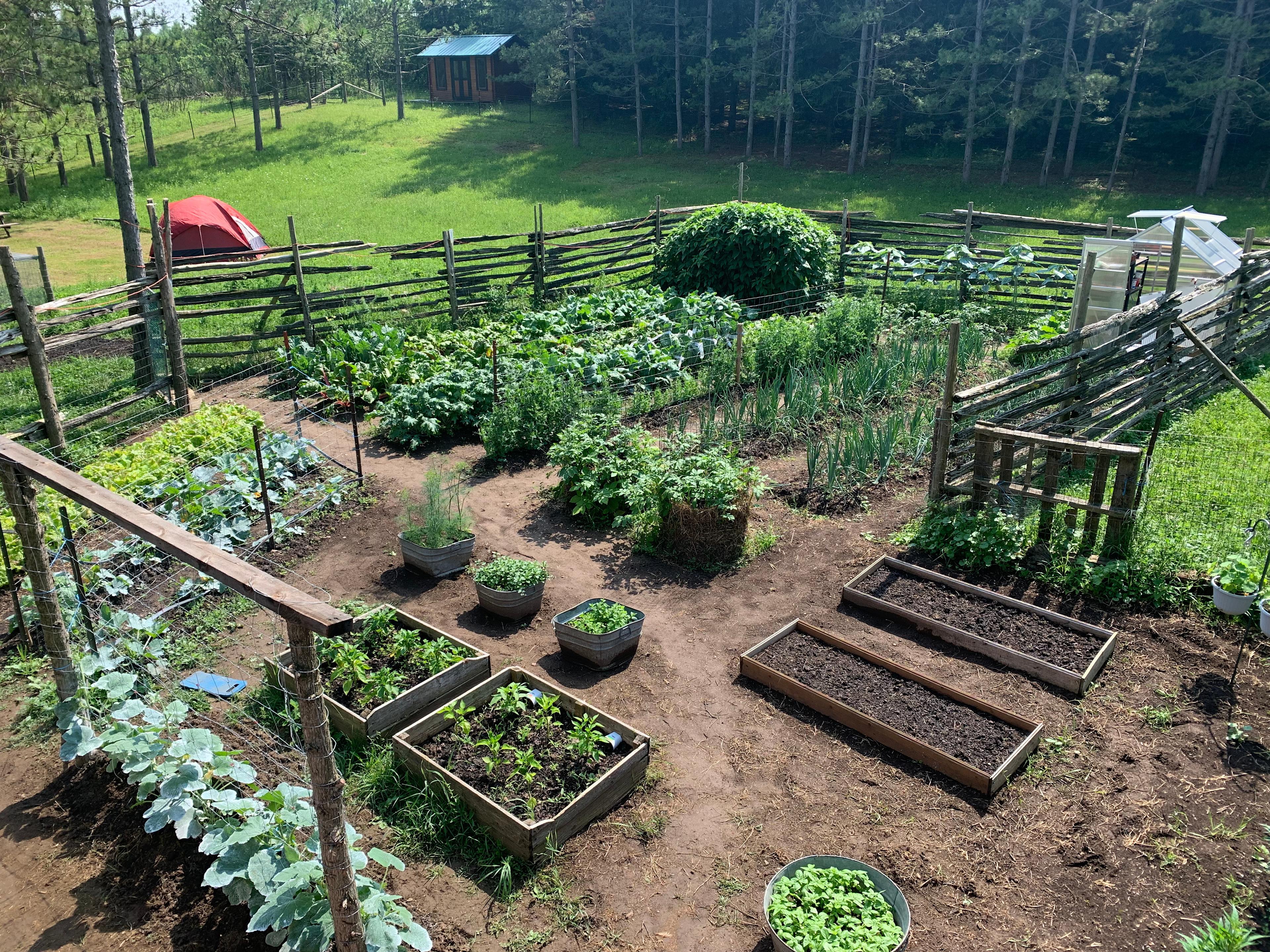 Goats And Gardens