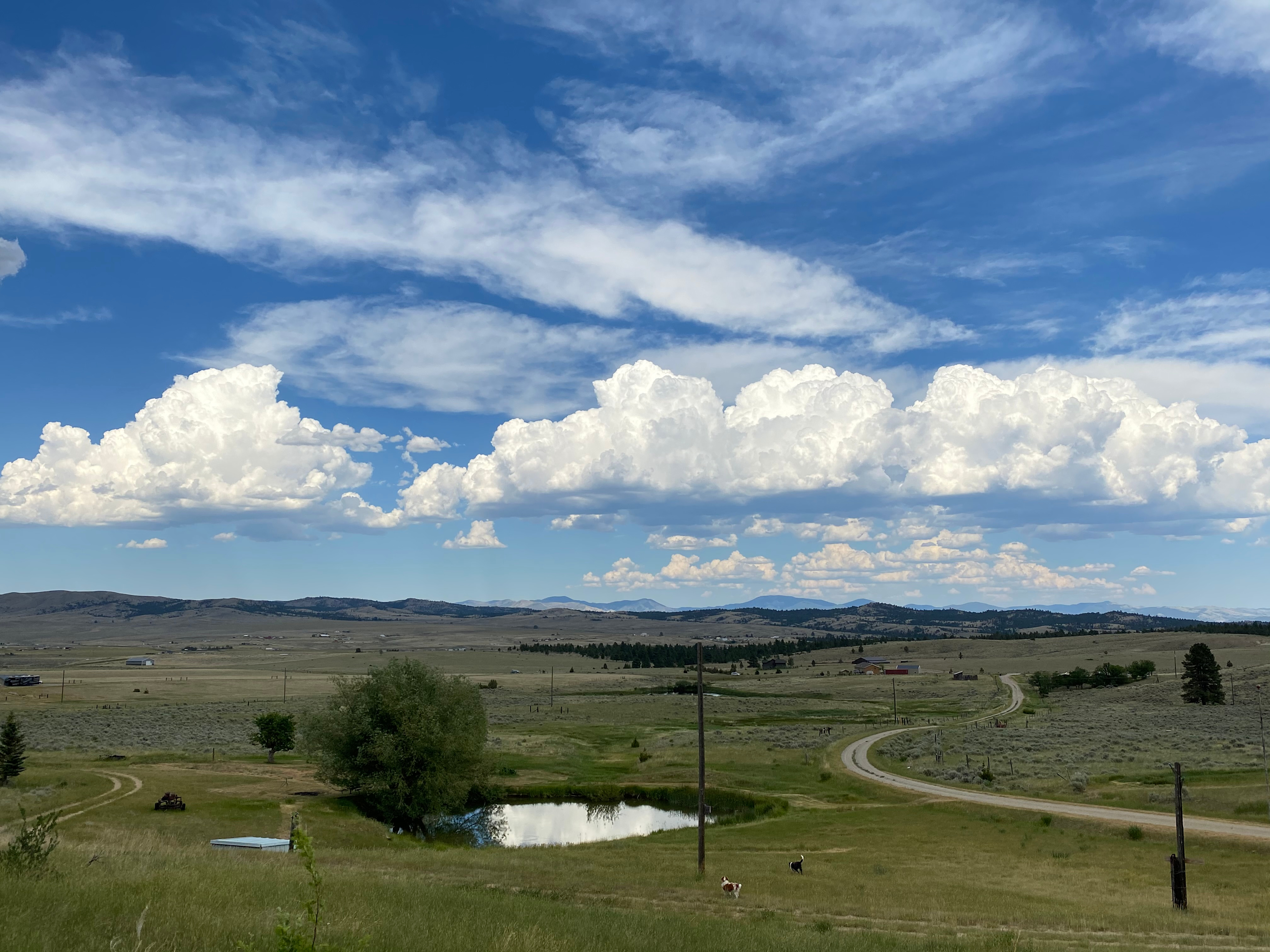 Rockinon R.’s Land
