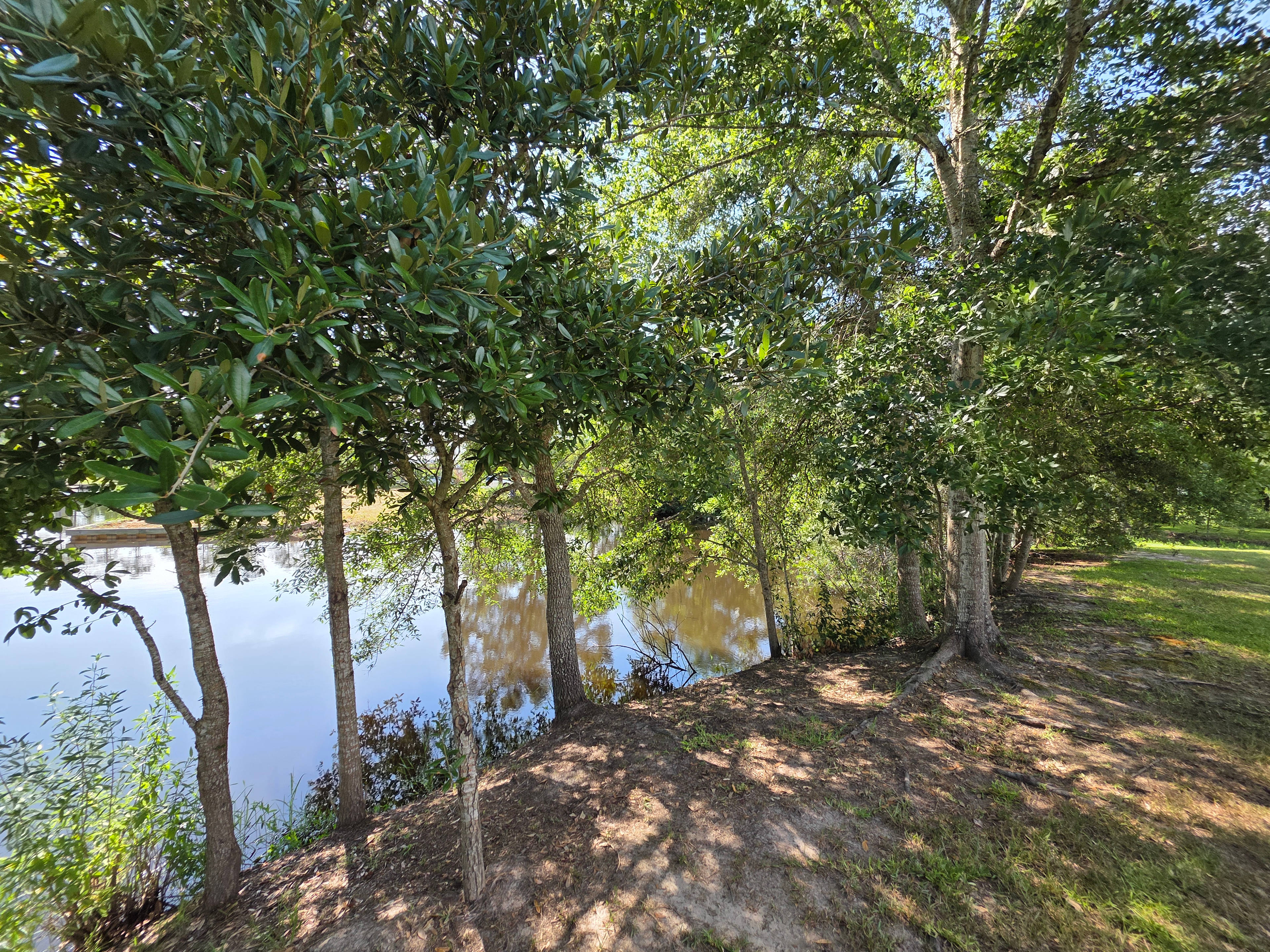 Grass Lot On Canal ➡️ St Louis Bay