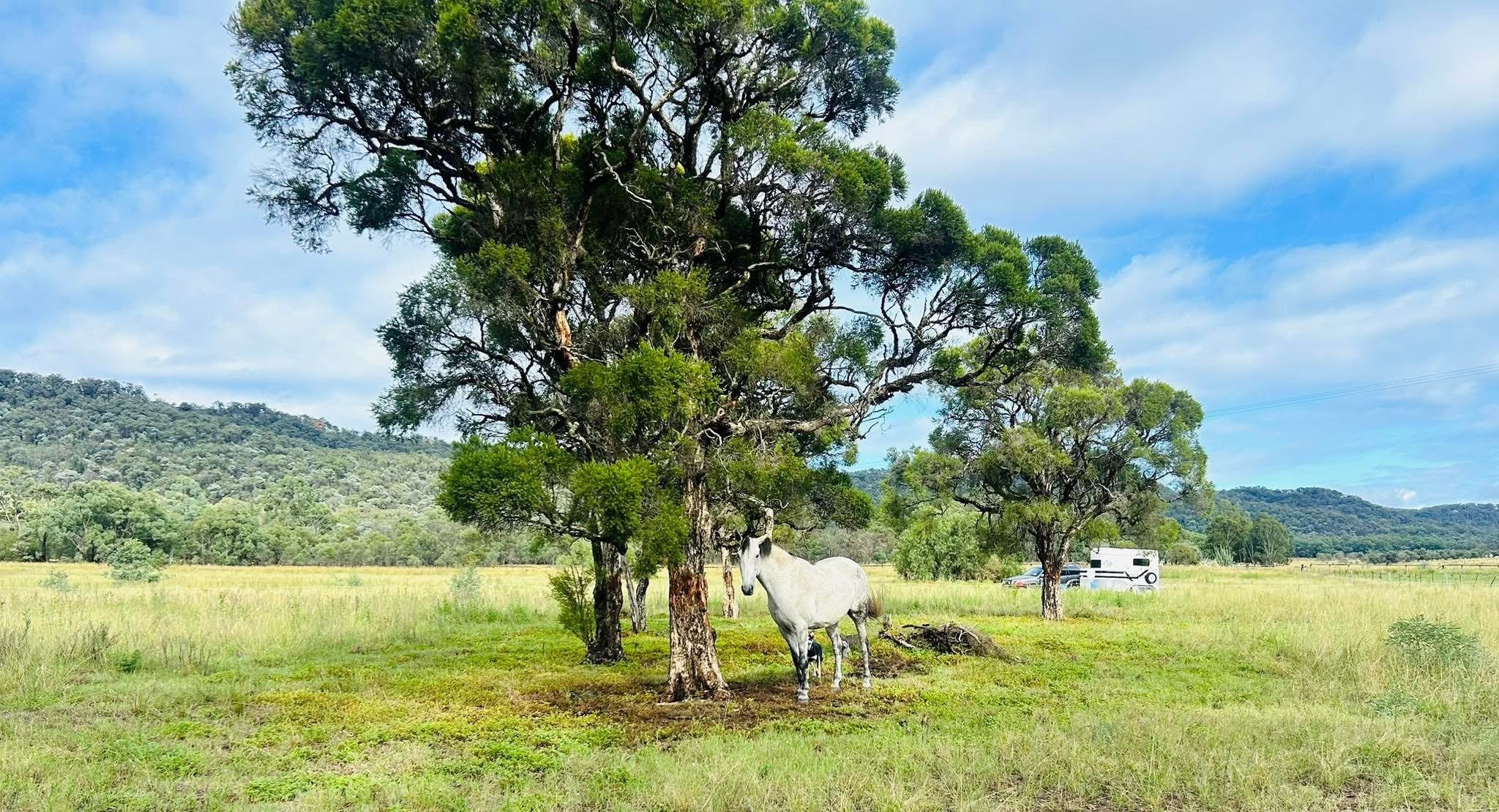 111 Yarraman Farmstead