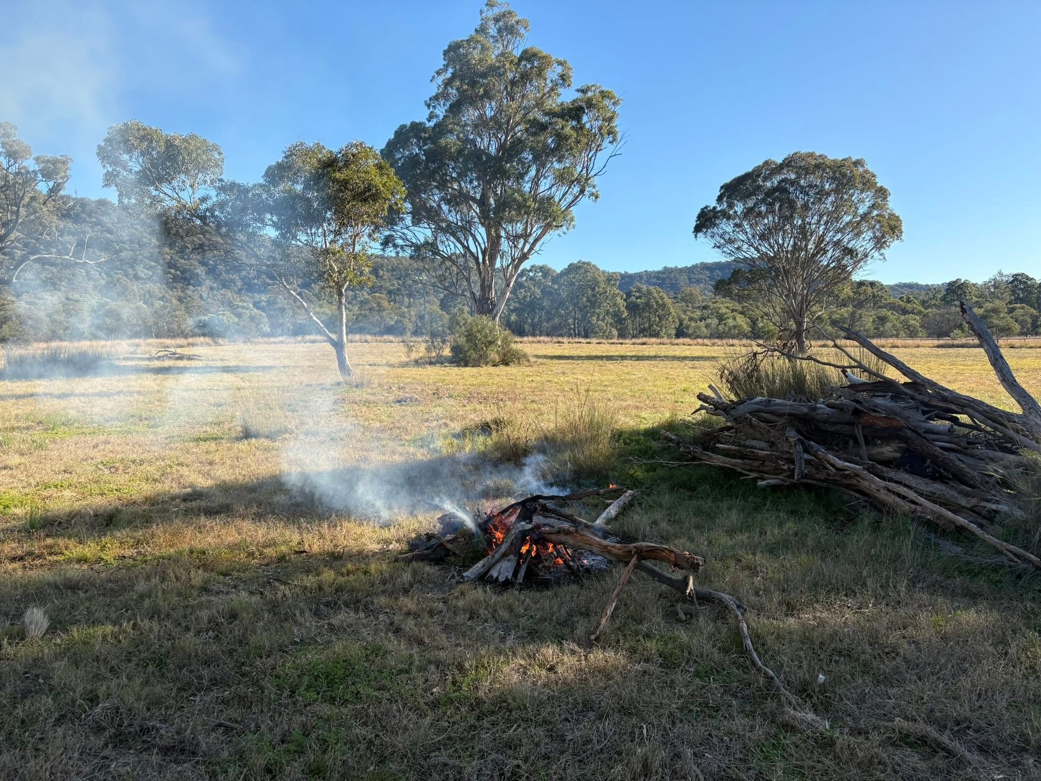 111 Yarraman Farmstead
