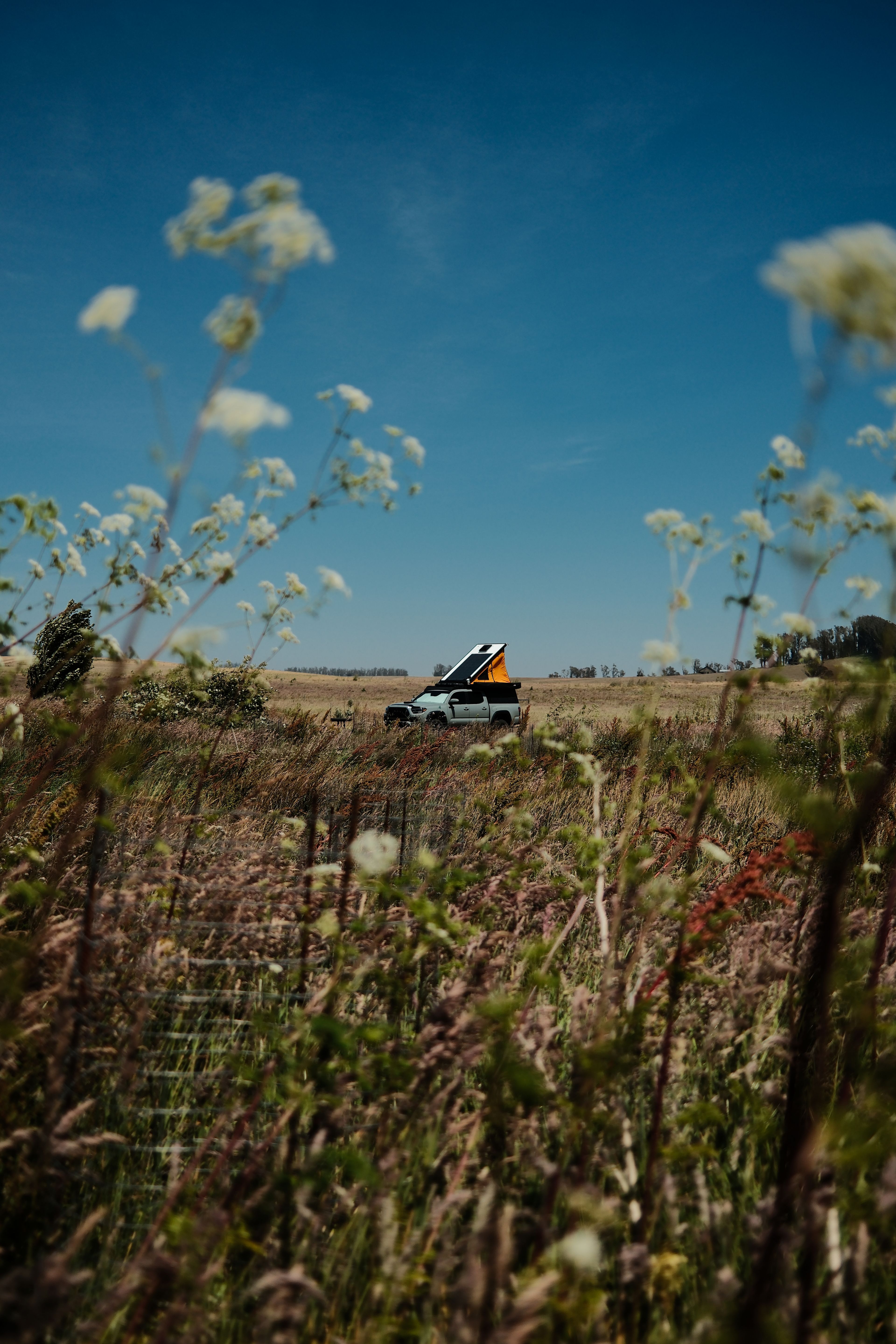 Estero San Antonio Wonderland