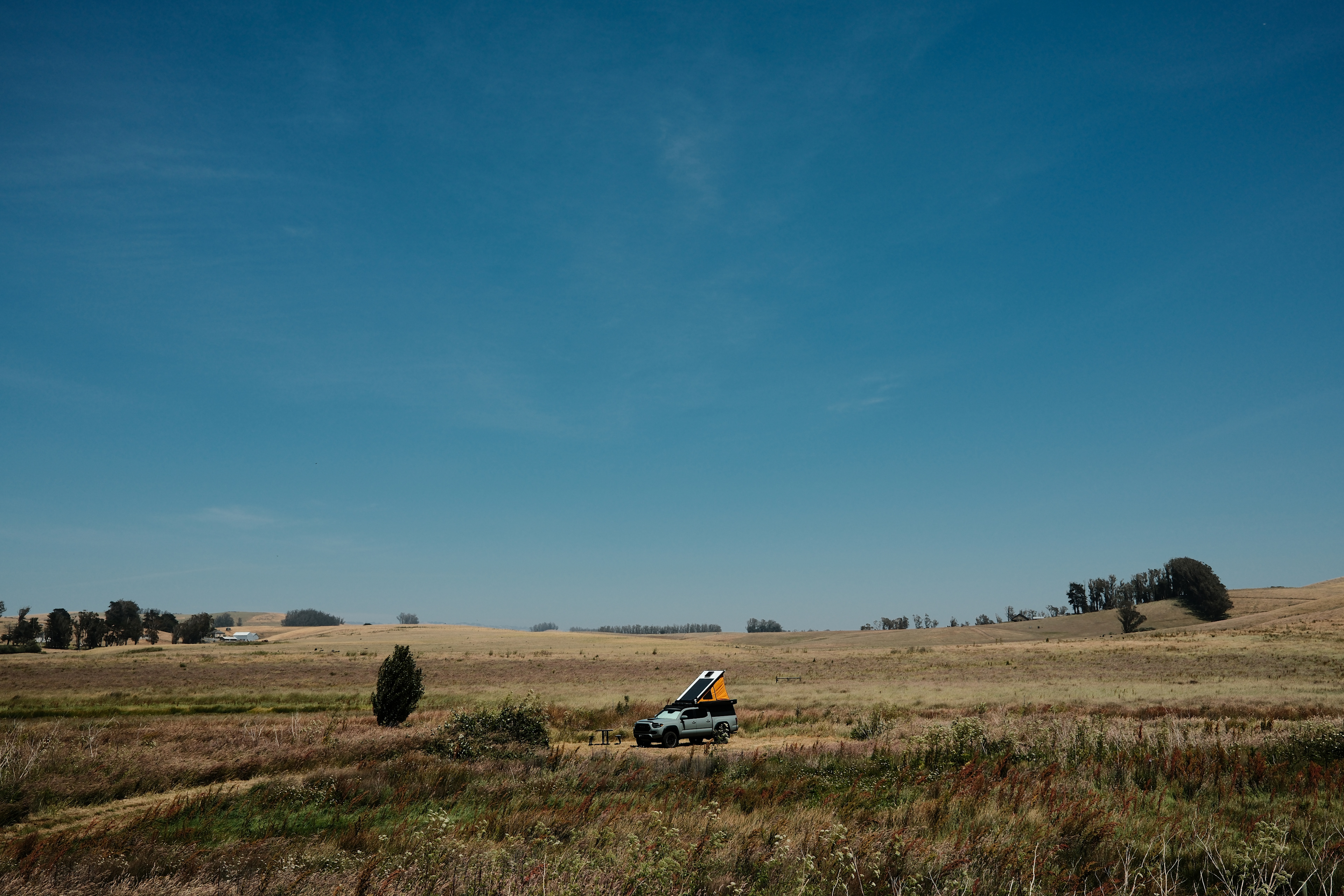 Estero San Antonio Wonderland