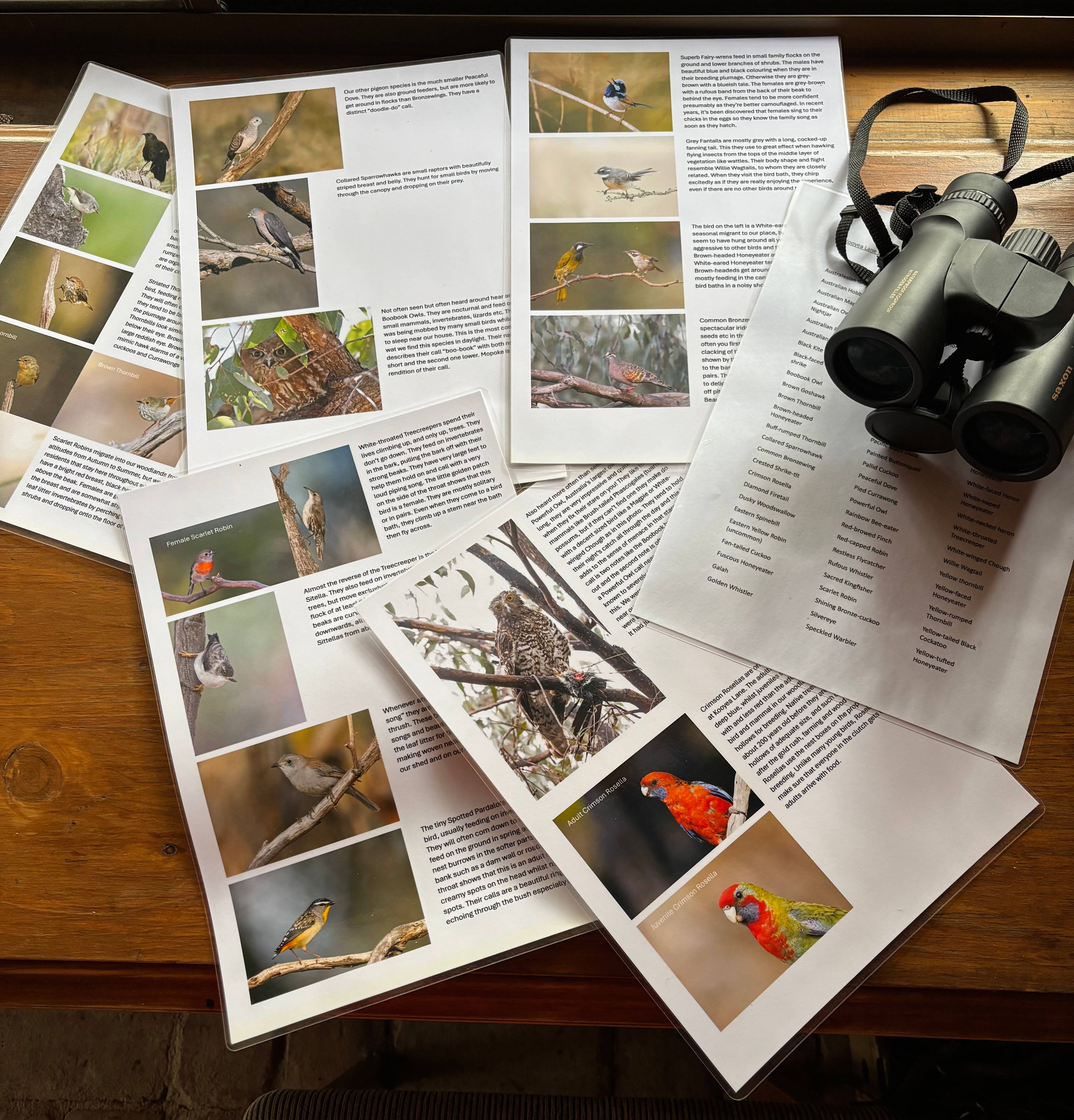 Hut Amongst The Gum Trees