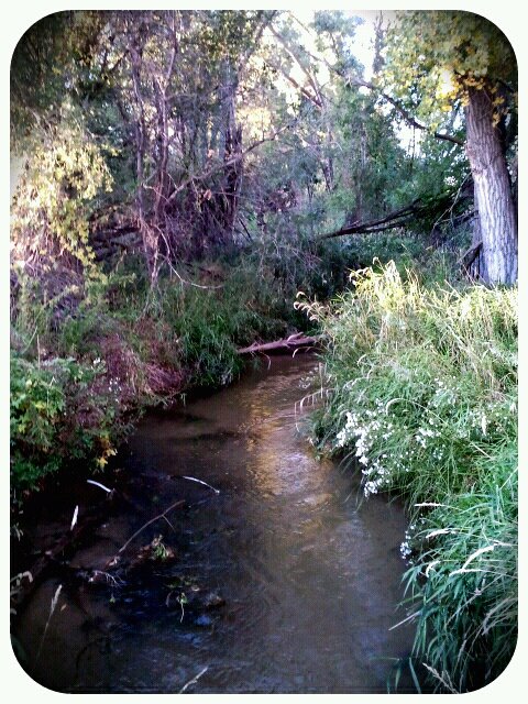 Wildhorse Creek At BE Farm