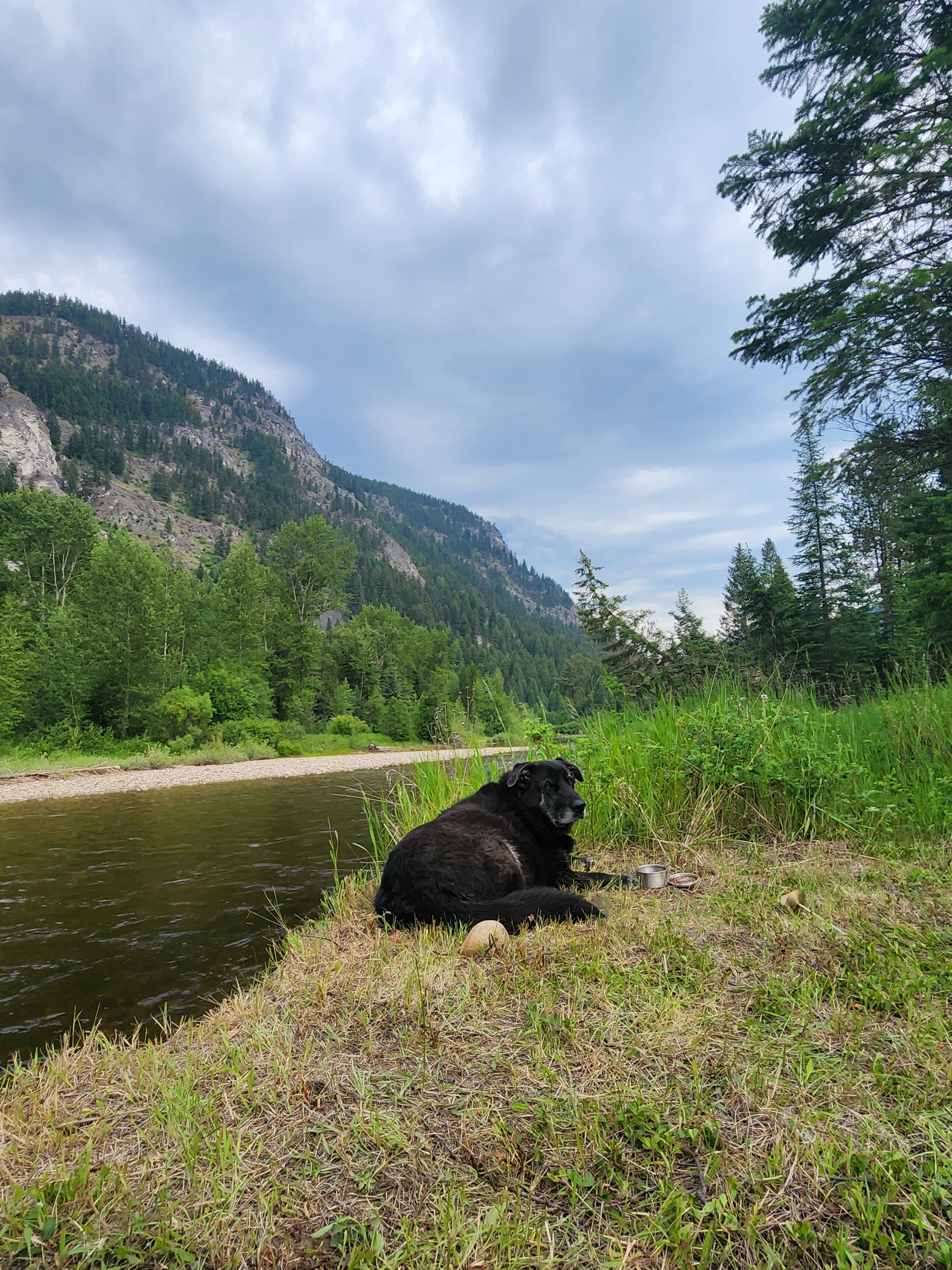 ARLO's KVR Trail Riverside Camping