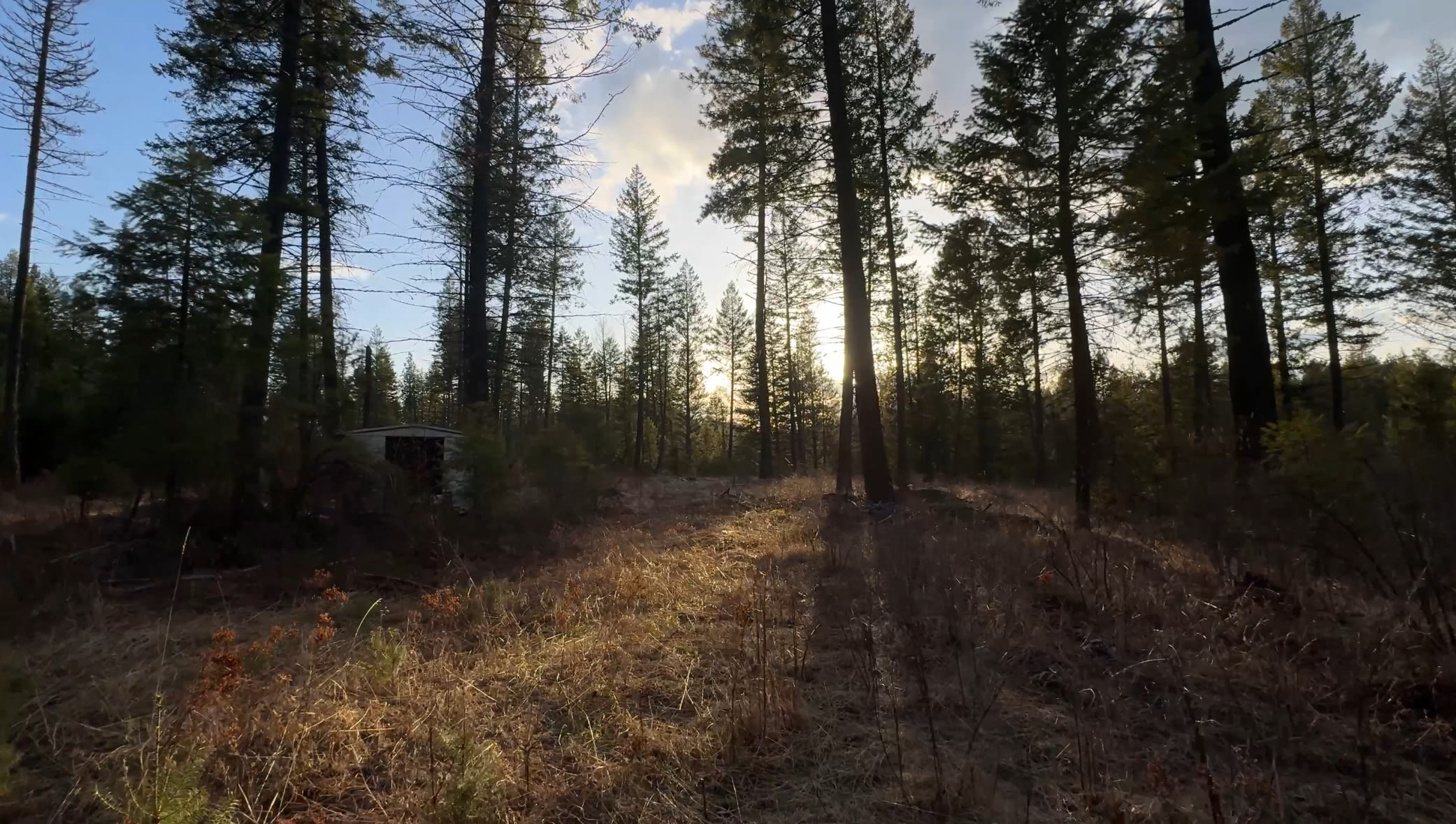 Drive up the entrance to the logging road and you’ll fine this old RV spot next to an abandoned shed. 