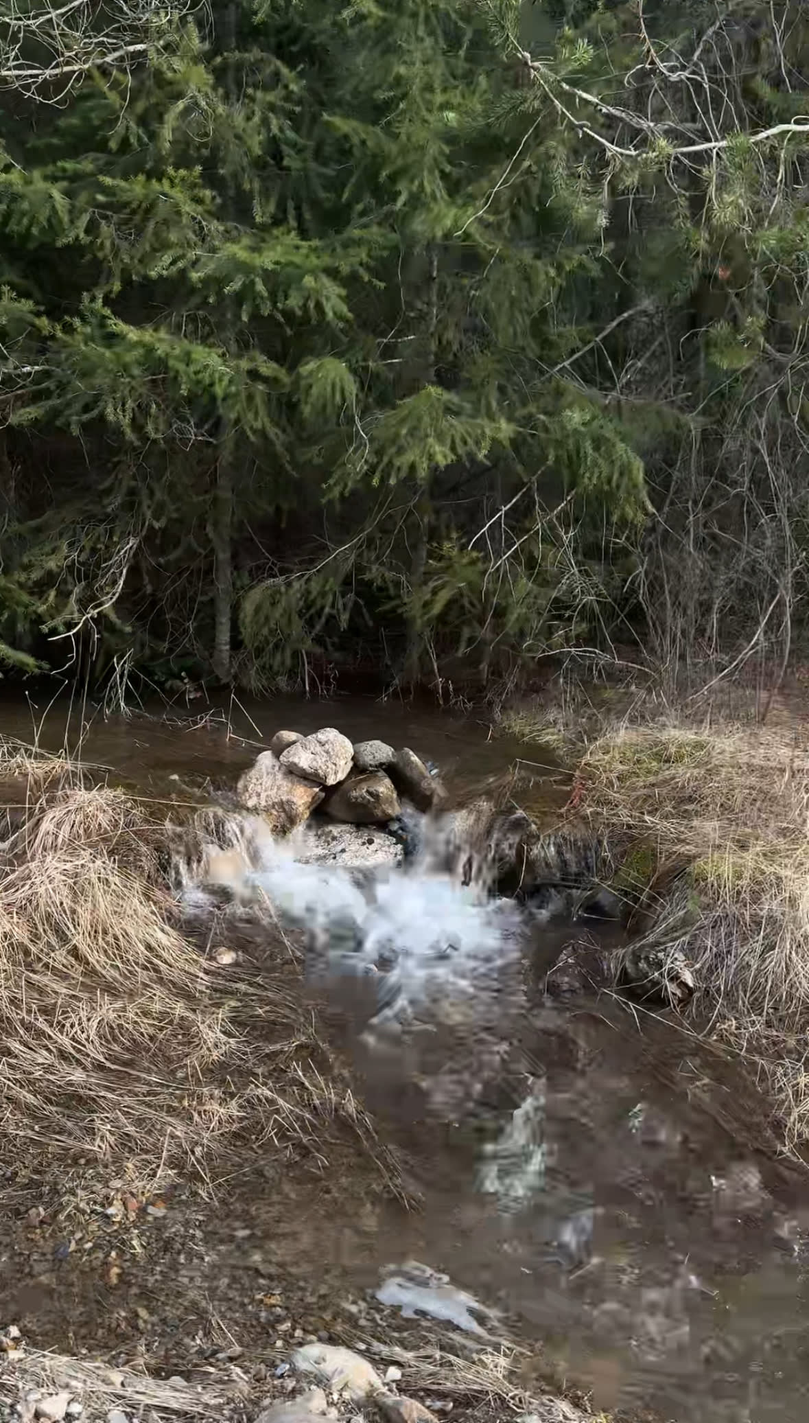 The seasonal creek
