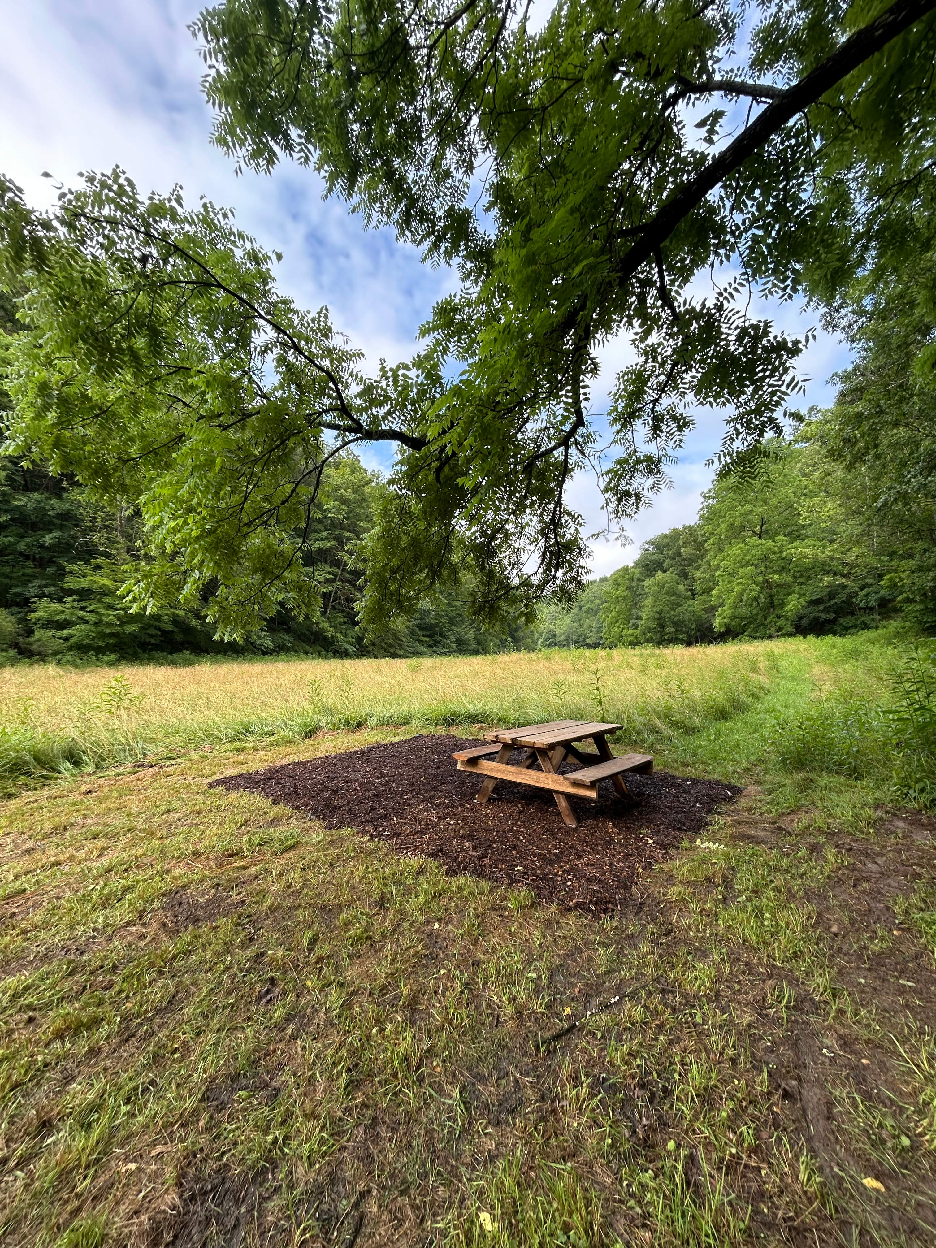 Our Piece Of Dirt