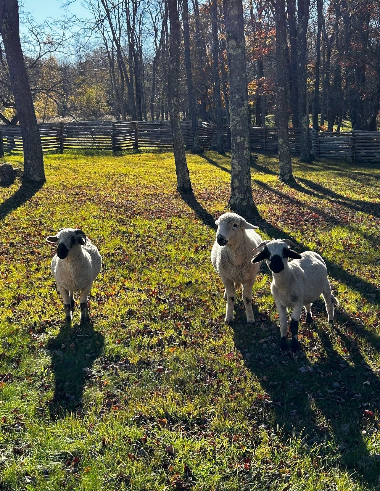 Livingston Manor Catskills Retreat