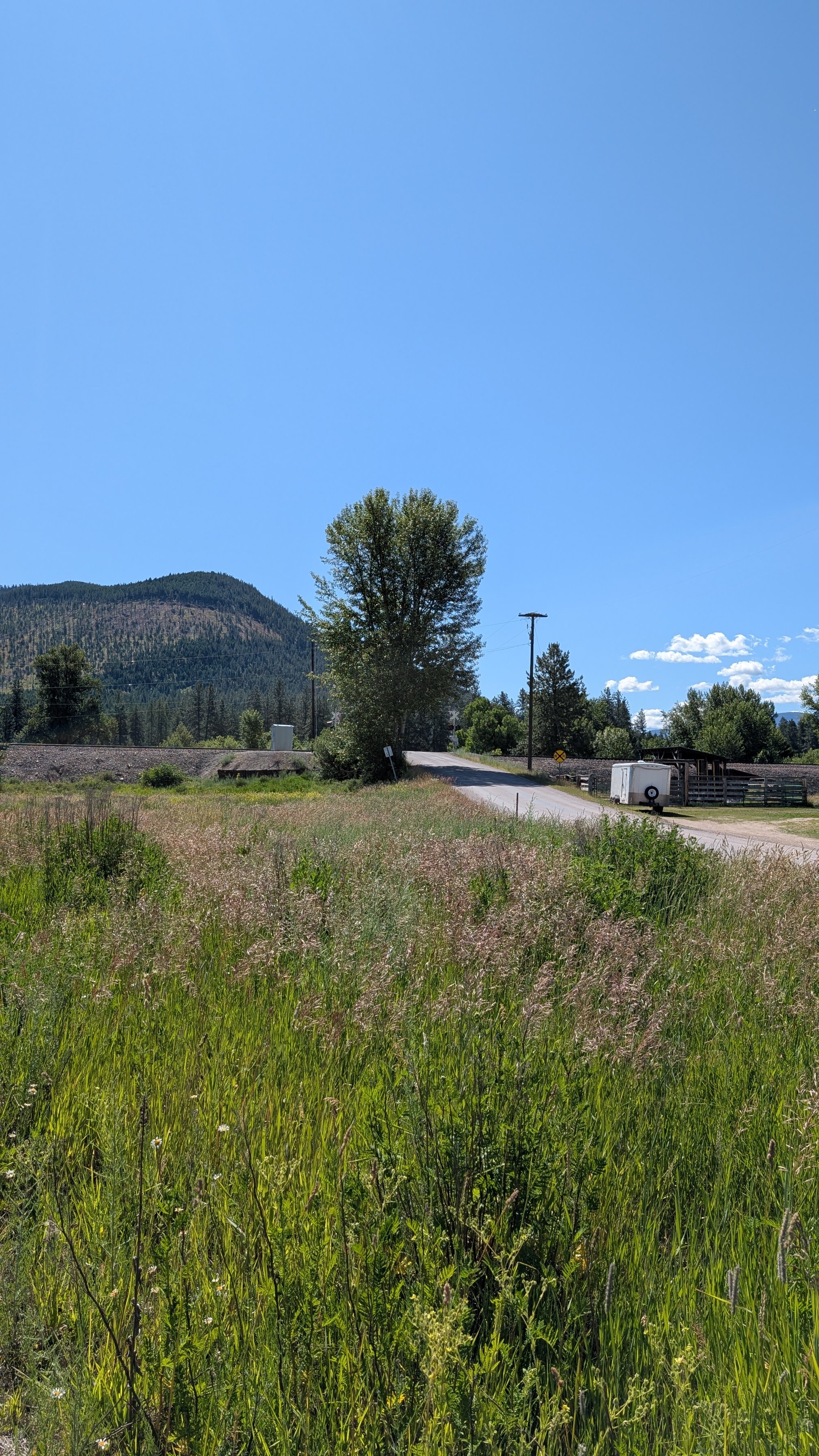 Two Rivers Road looking toward the tracks and Clark Fork River access.