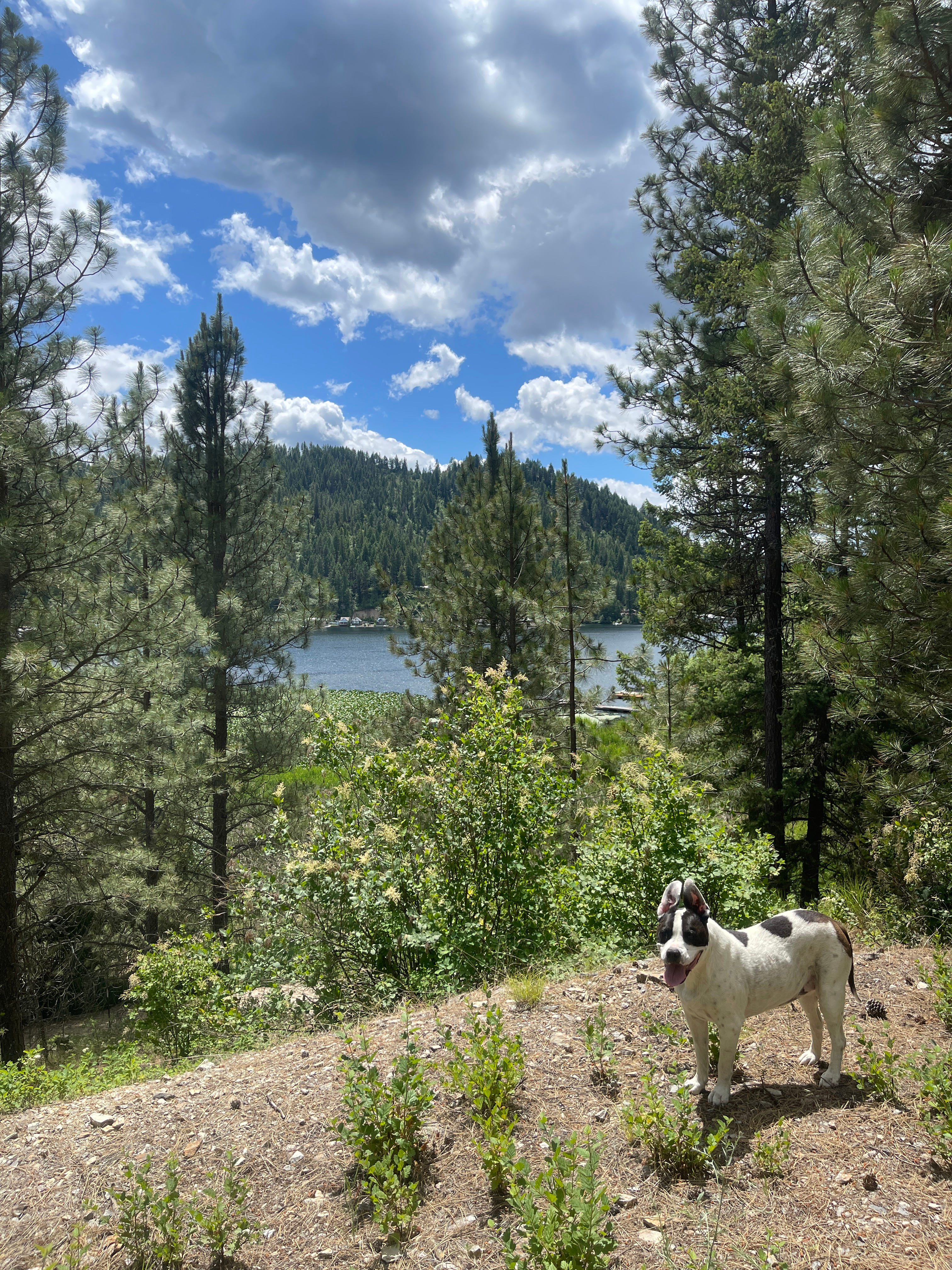 Lakefront mountain view