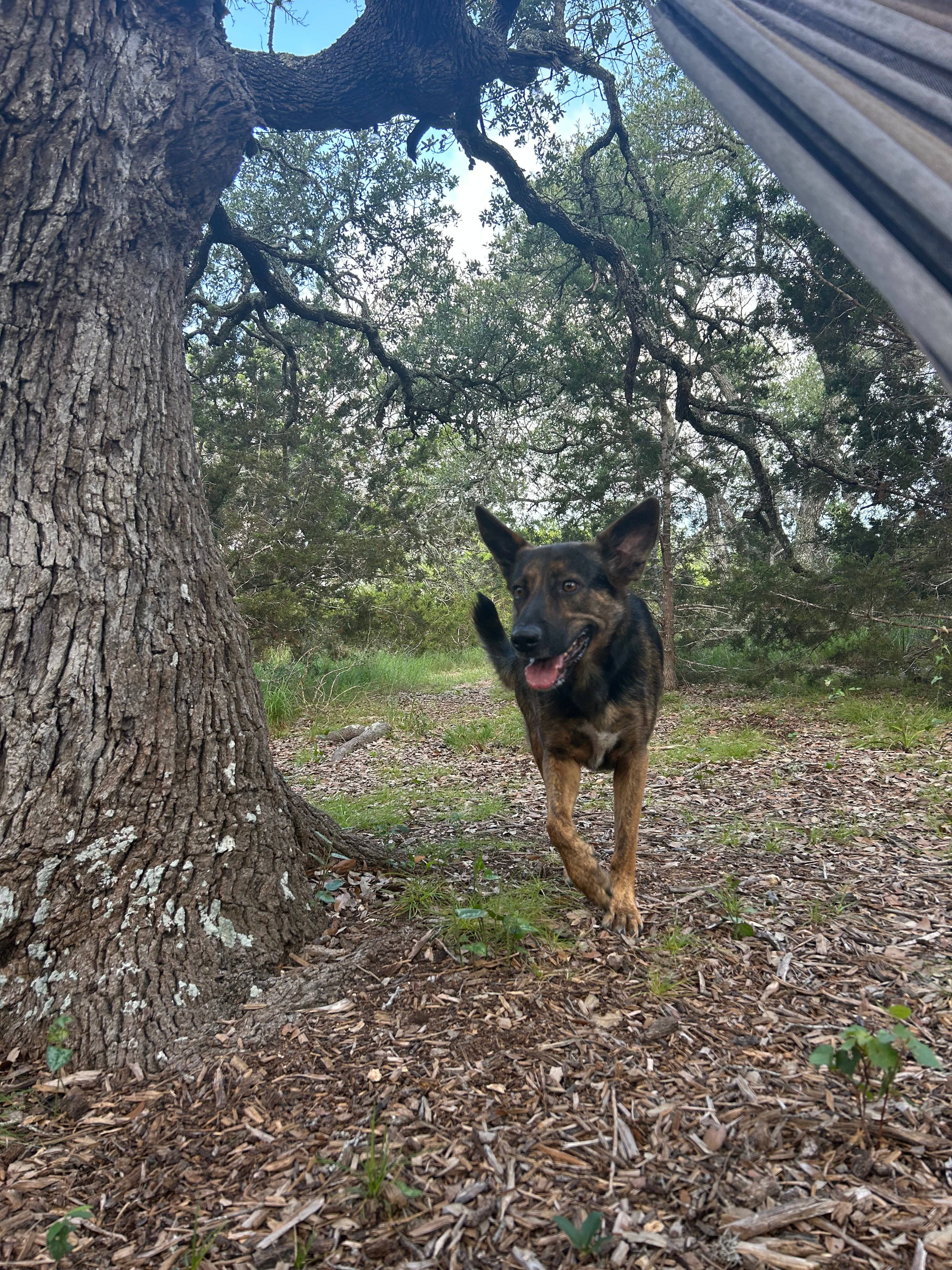Hill Country Nature Retreat