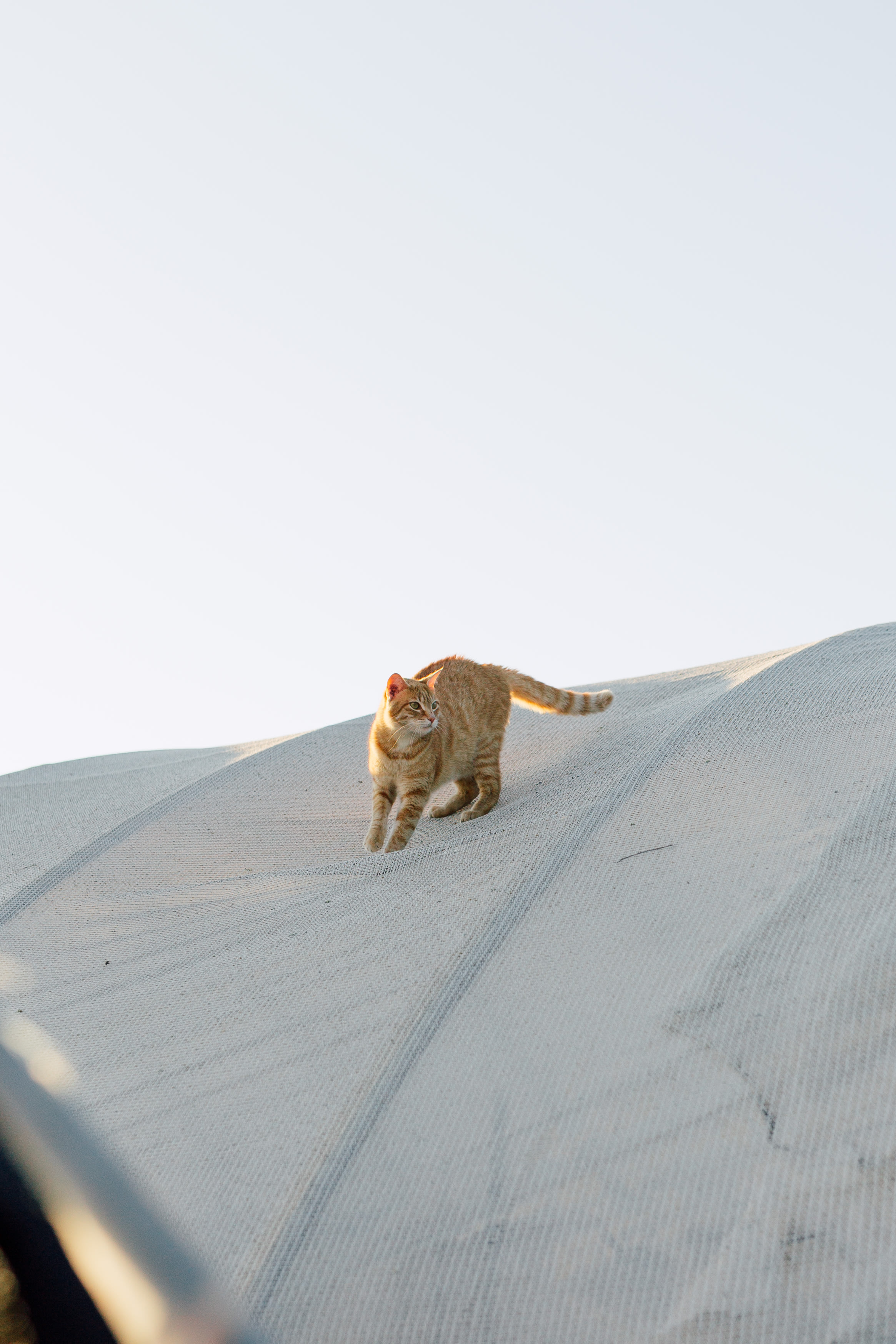 GoodVibes Ranch Disc Golf & Camping