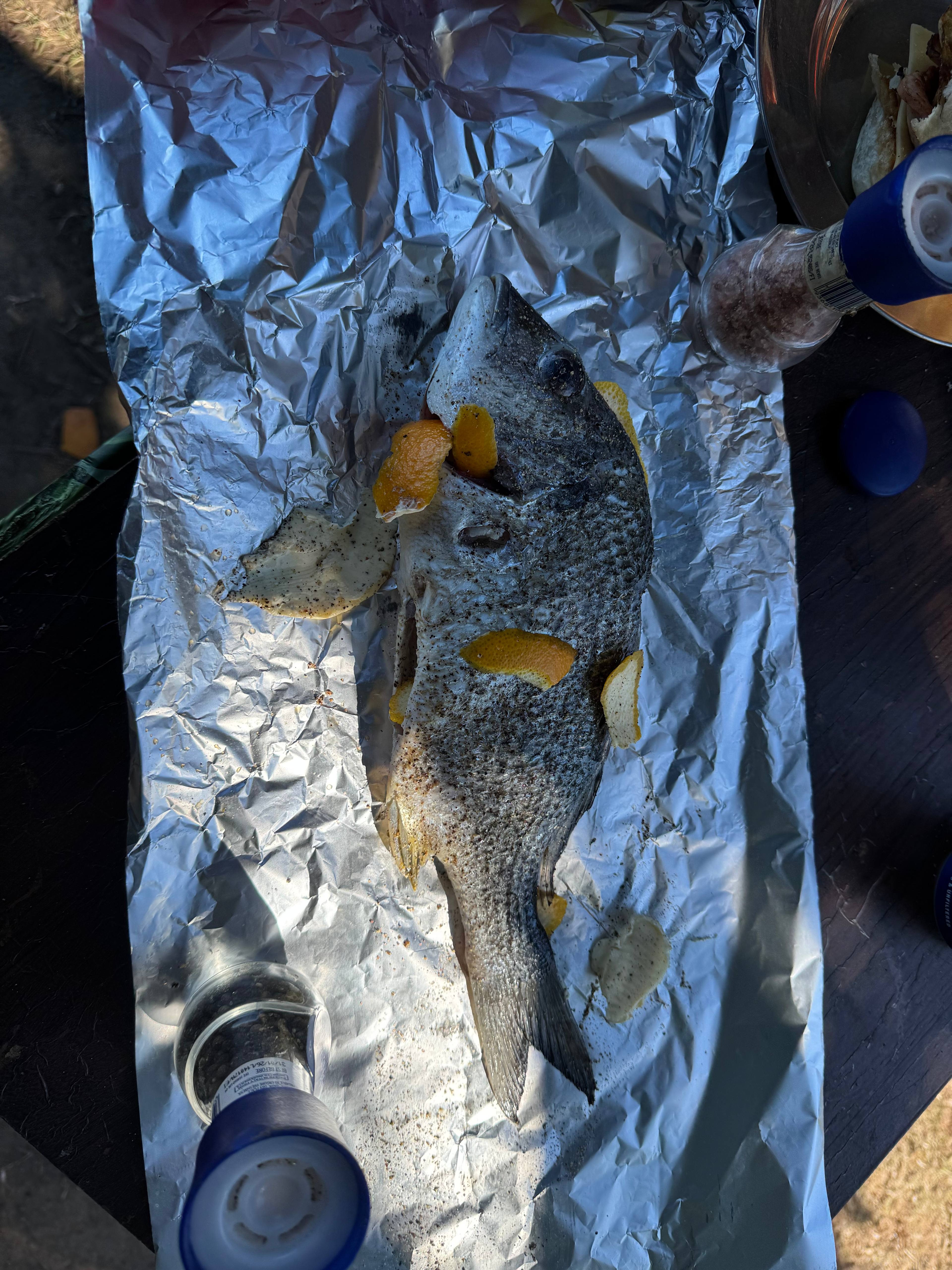 River Views - Ashby Island Paradise